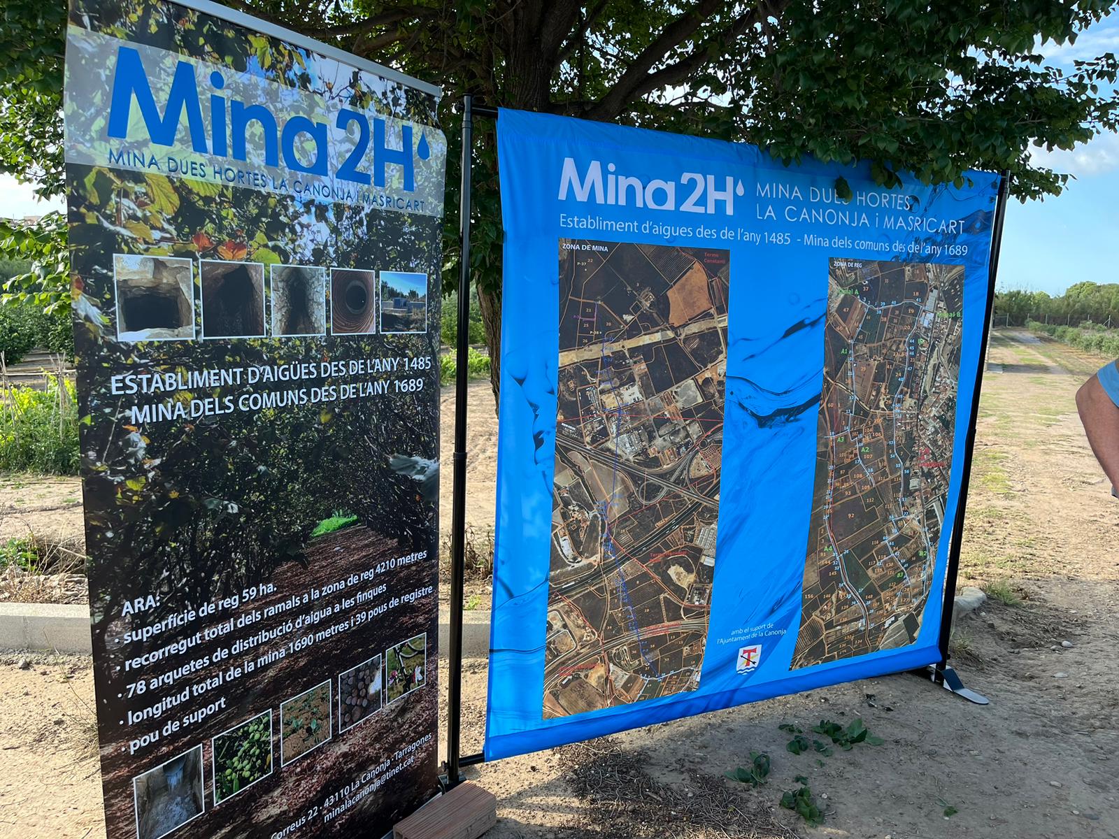 WhatsApp Image 2024-06-06 at 09.17.21