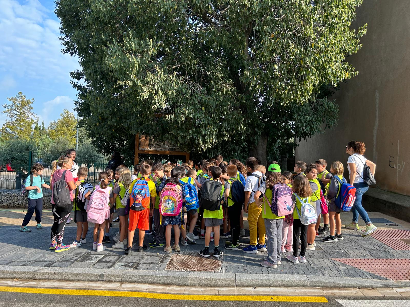 WhatsApp Image 2024-09-25 at 04.50.04