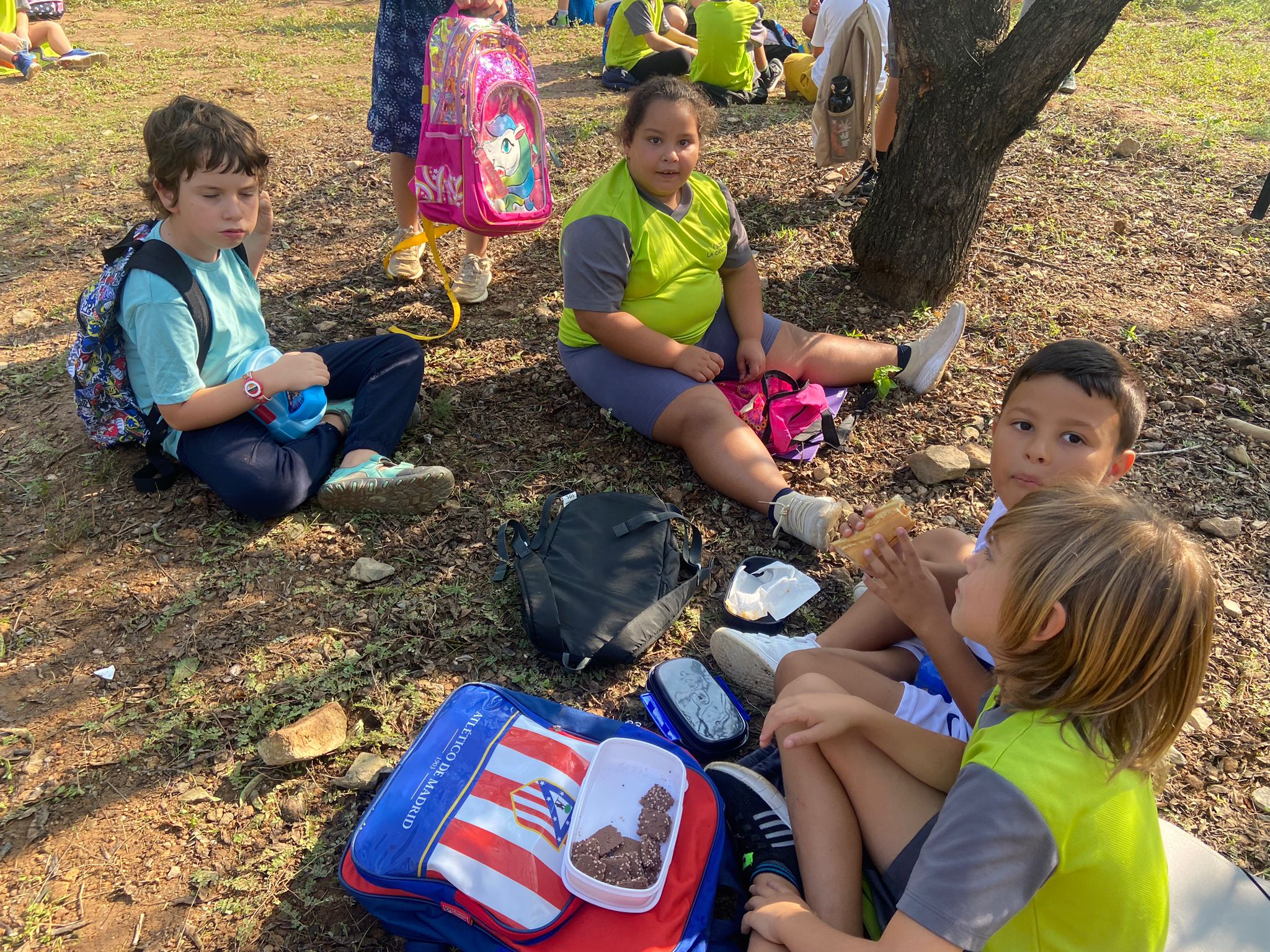 WhatsApp Image 2024-09-25 at 09.17.27 (1)