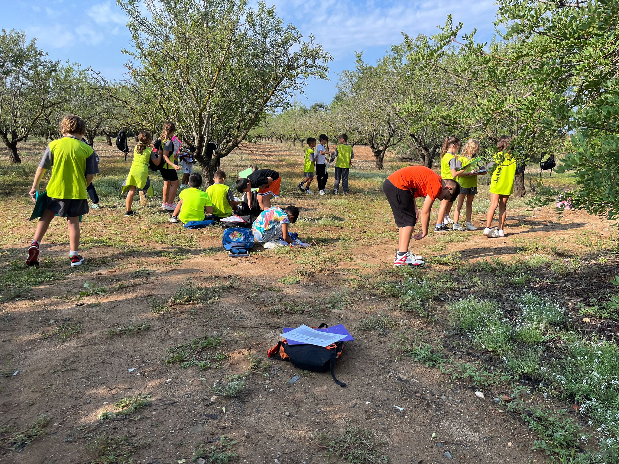 WhatsApp Image 2024-09-25 at 09.26.54 (1)