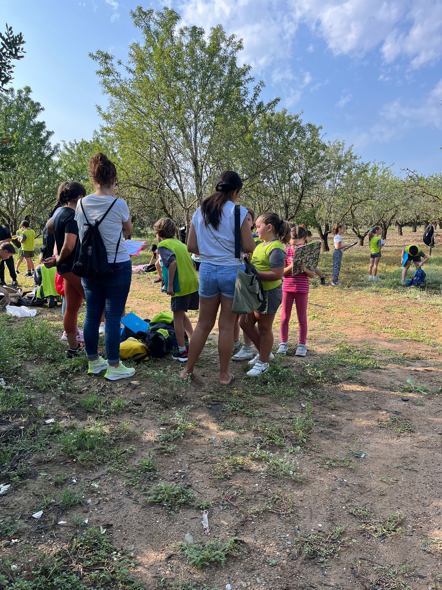 WhatsApp Image 2024-09-25 at 09.26.54