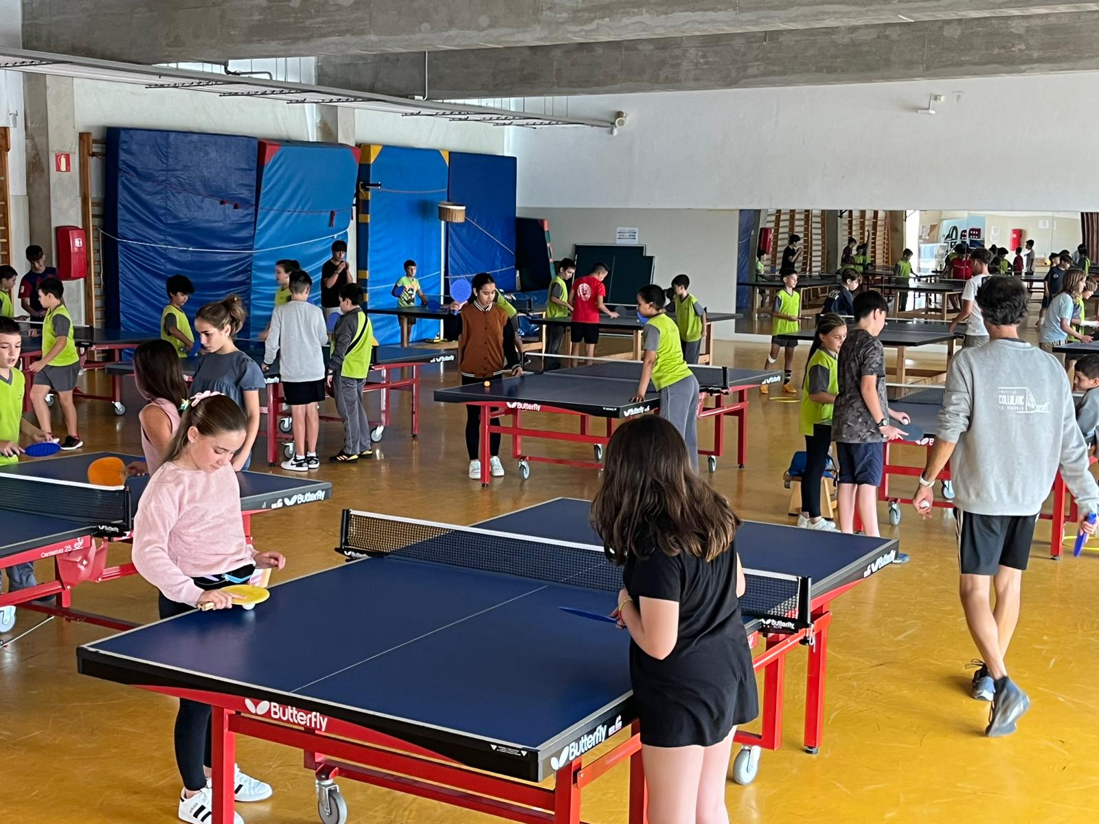 WhatsApp Image 2024-10-14 at 15.41.34