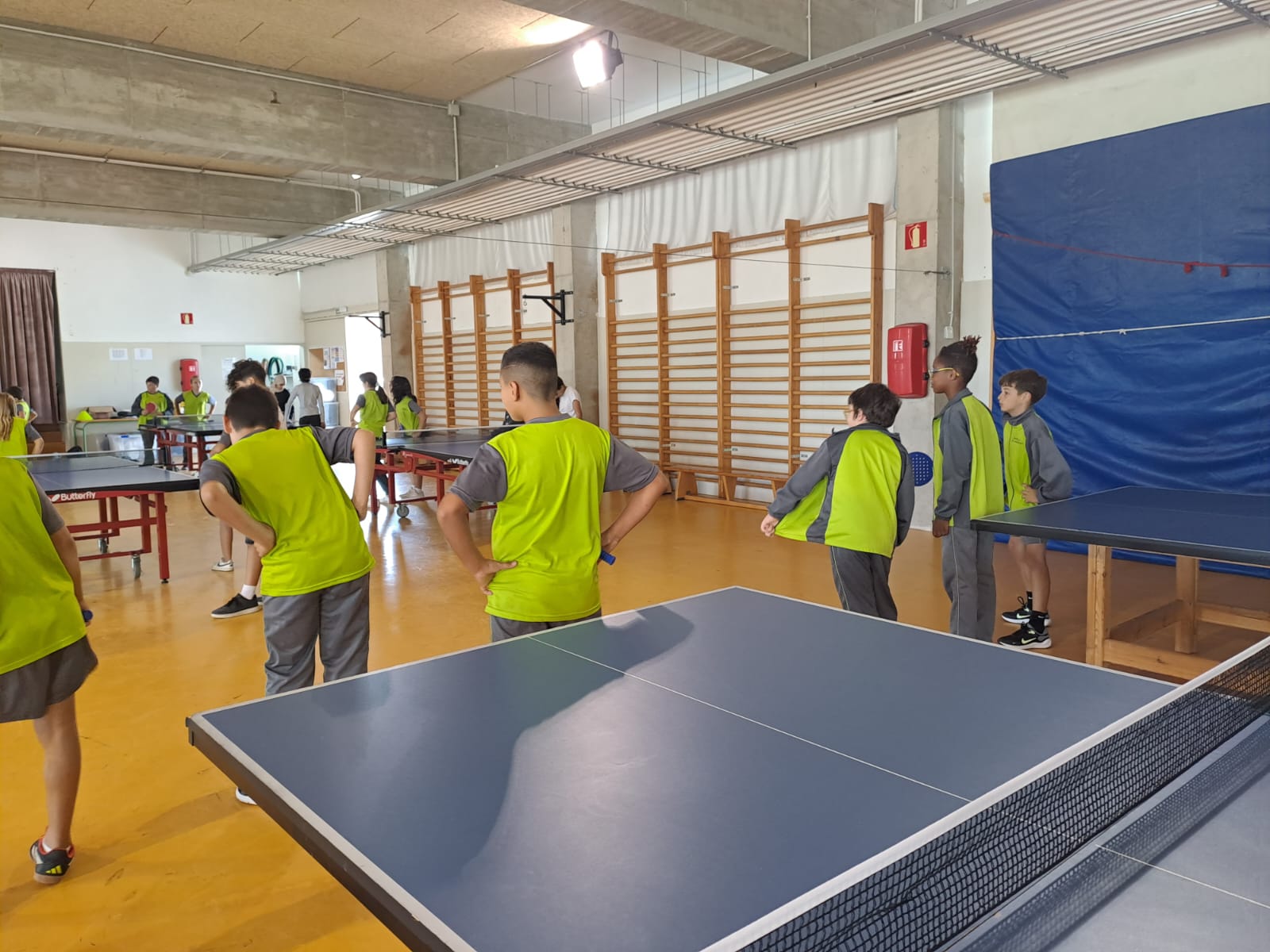 WhatsApp Image 2024-10-17 at 15.36.41