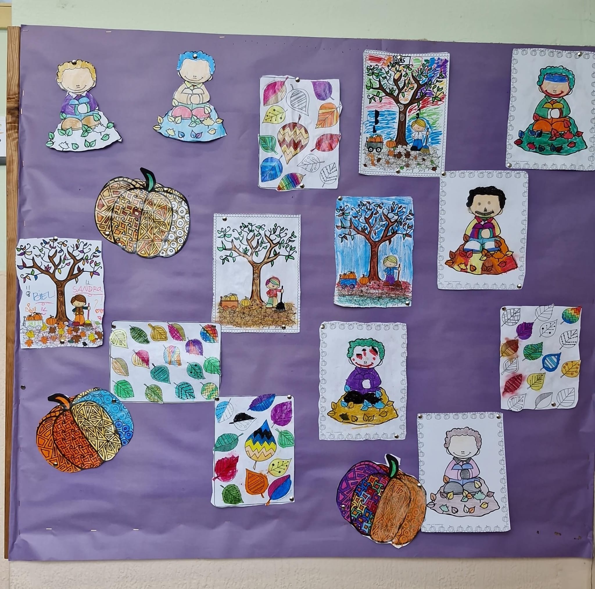 WhatsApp Image 2024-10-25 at 10.16.38