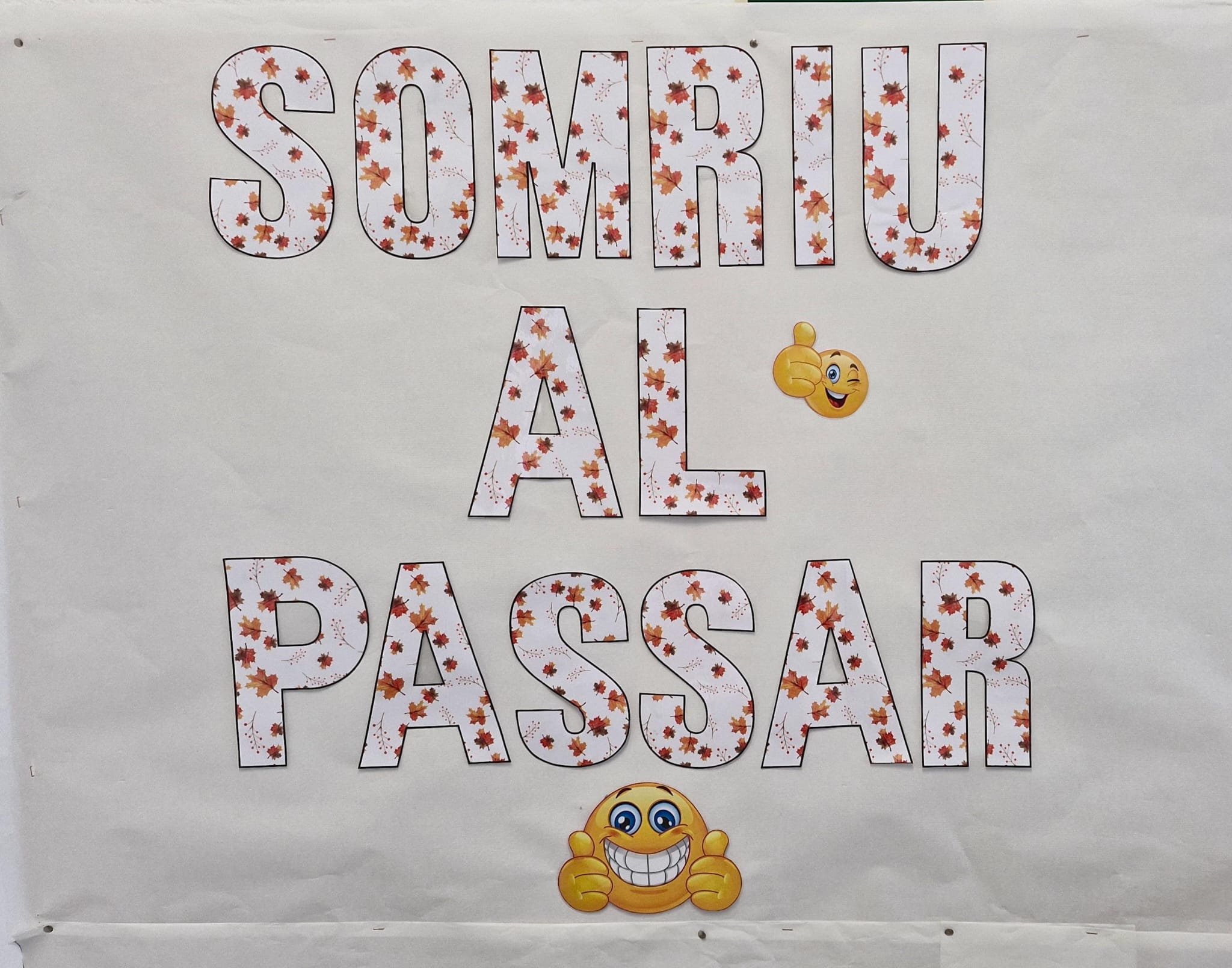 WhatsApp Image 2024-10-25 at 15.32.07