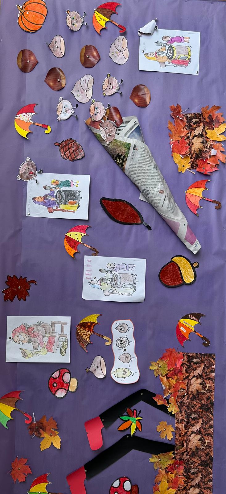 WhatsApp Image 2024-10-29 at 13.00.47