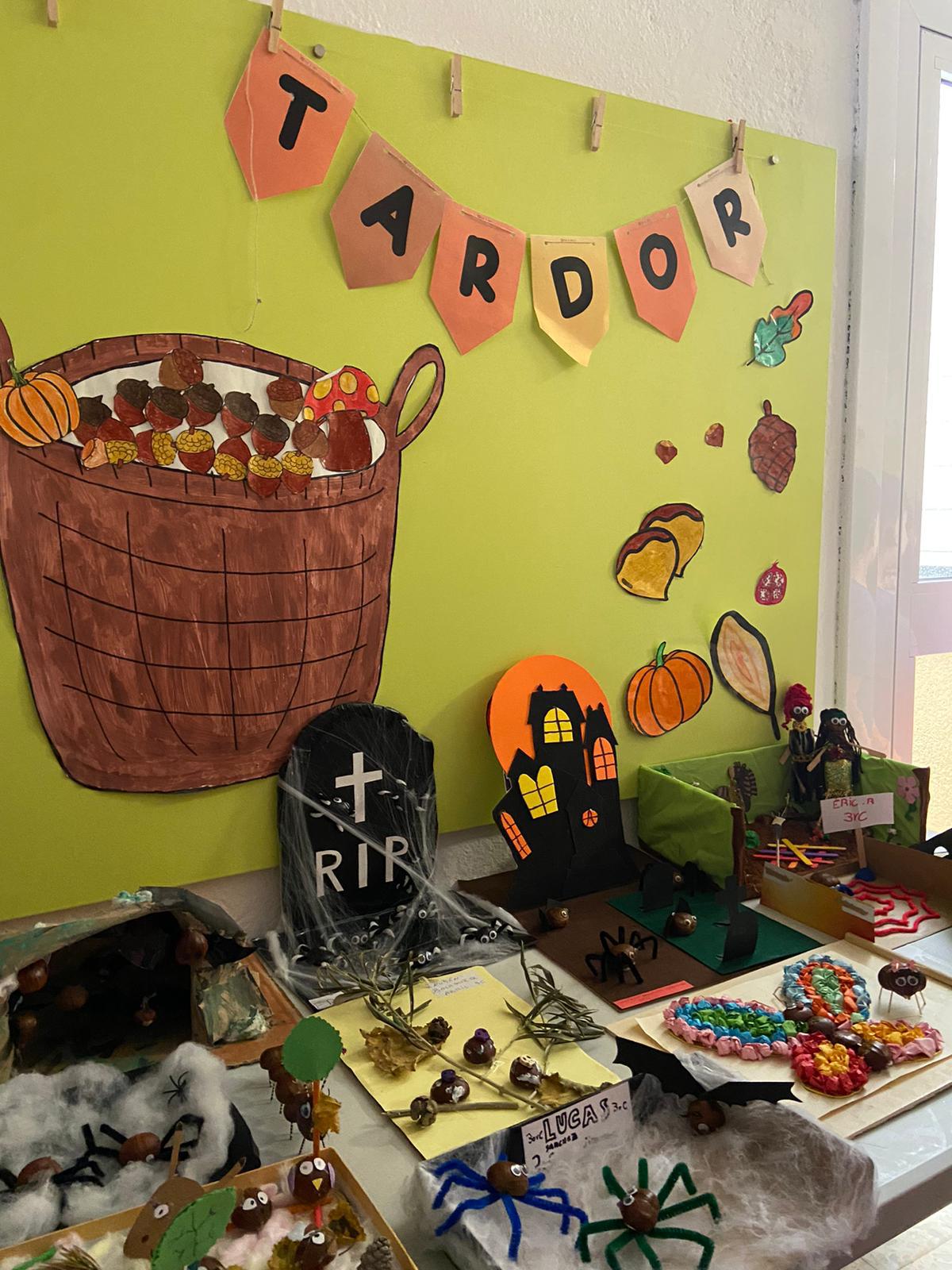 WhatsApp Image 2024-10-31 at 05.22.50