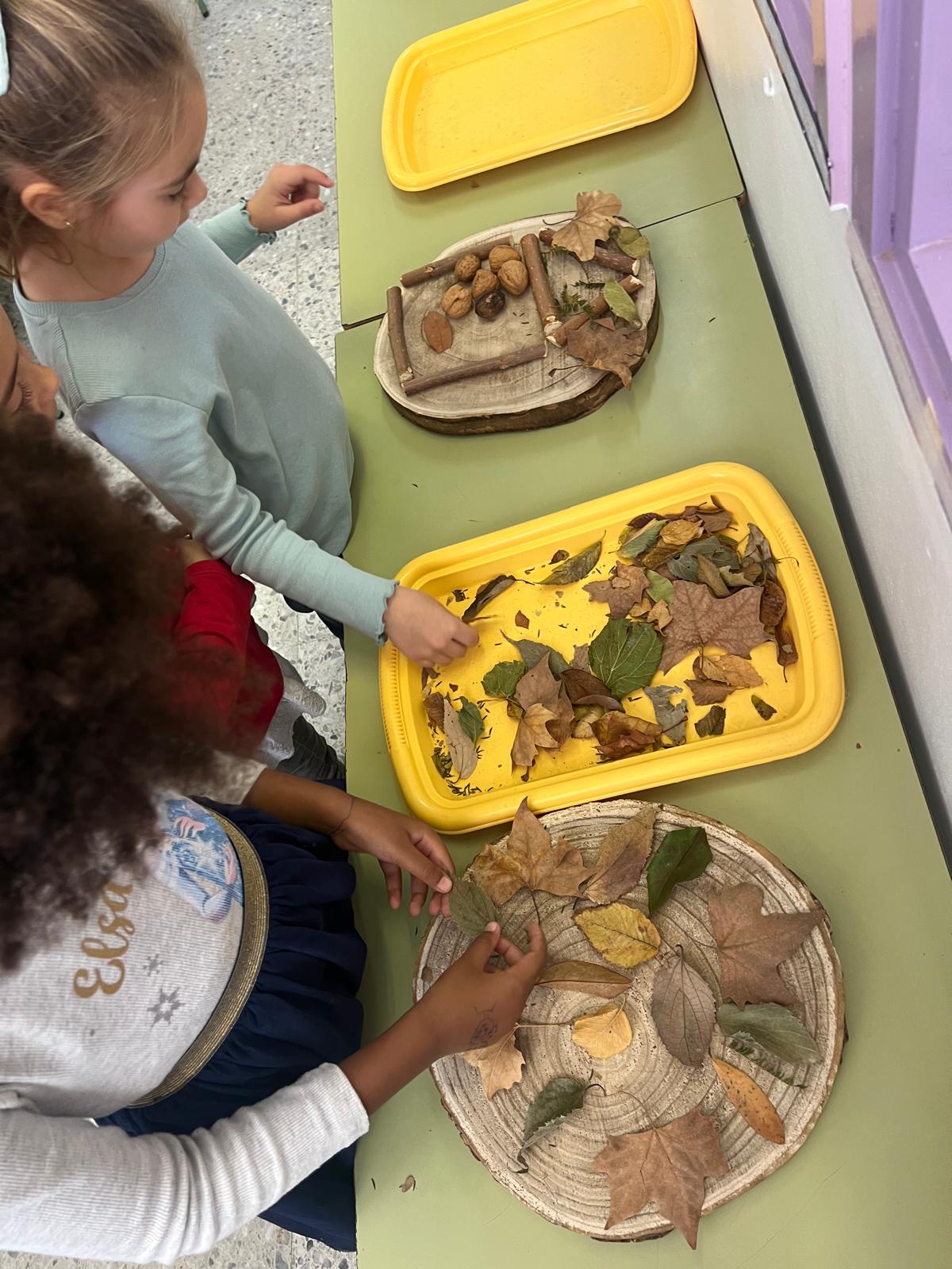 WhatsApp Image 2024-11-07 at 09.12.43 (1)