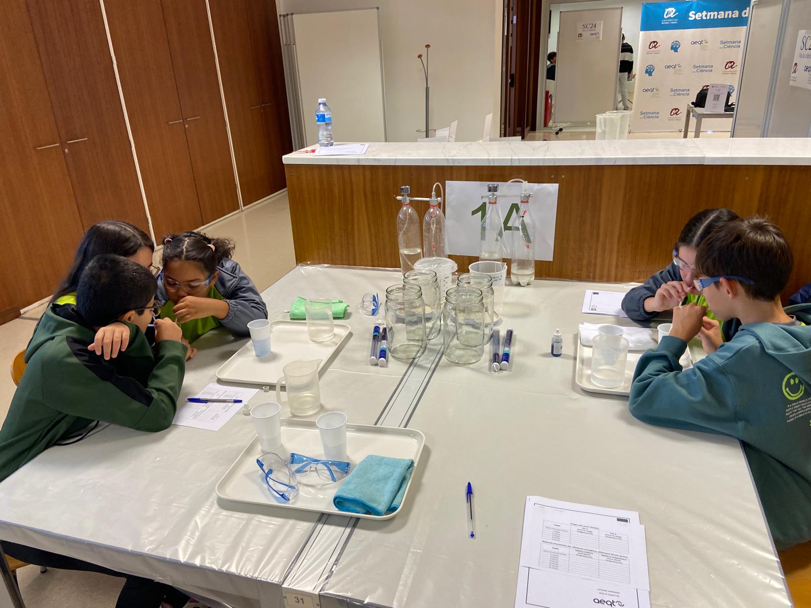 WhatsApp Image 2024-11-07 at 10.13.51 (1)