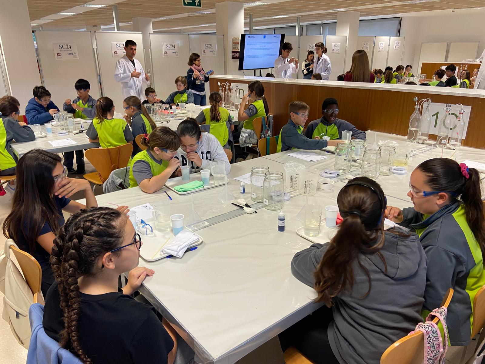 WhatsApp Image 2024-11-07 at 10.13.51