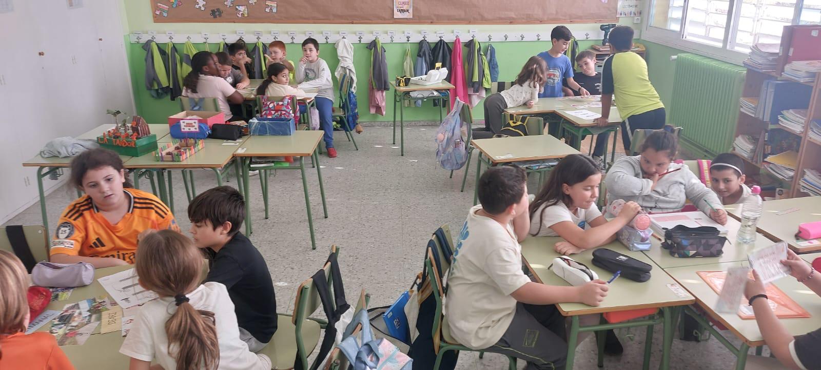 WhatsApp Image 2024-11-12 at 13.13.41