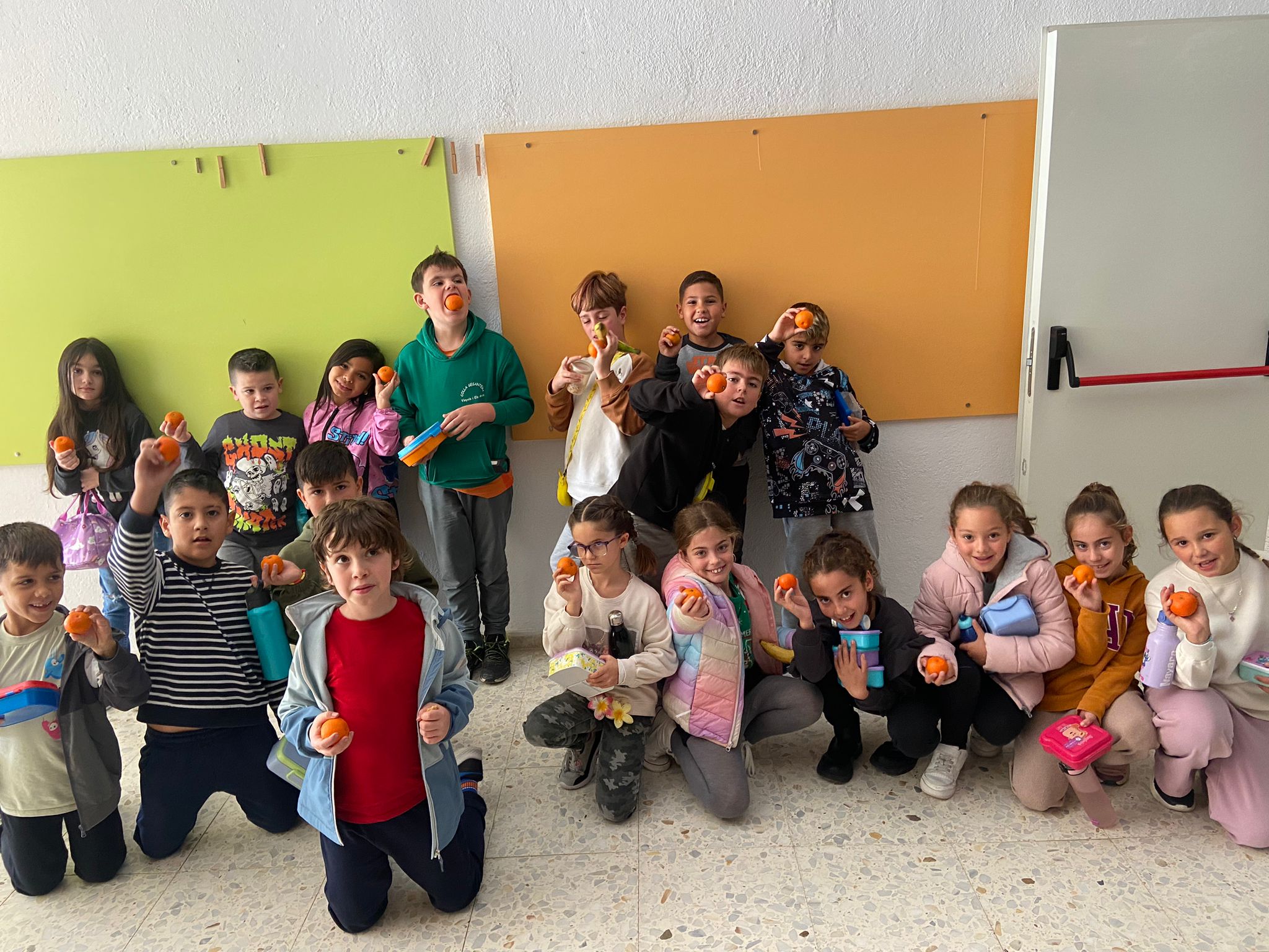 WhatsApp Image 2024-11-19 at 11.09.45