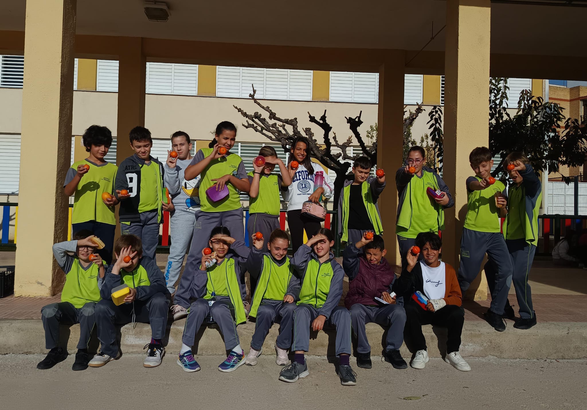 WhatsApp Image 2024-11-19 at 11.10.59