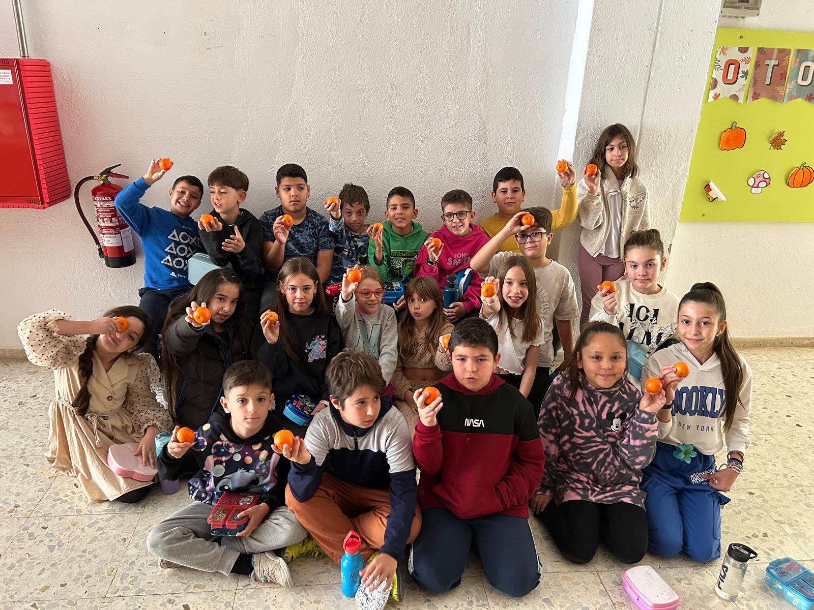 WhatsApp Image 2024-11-19 at 14.39.38