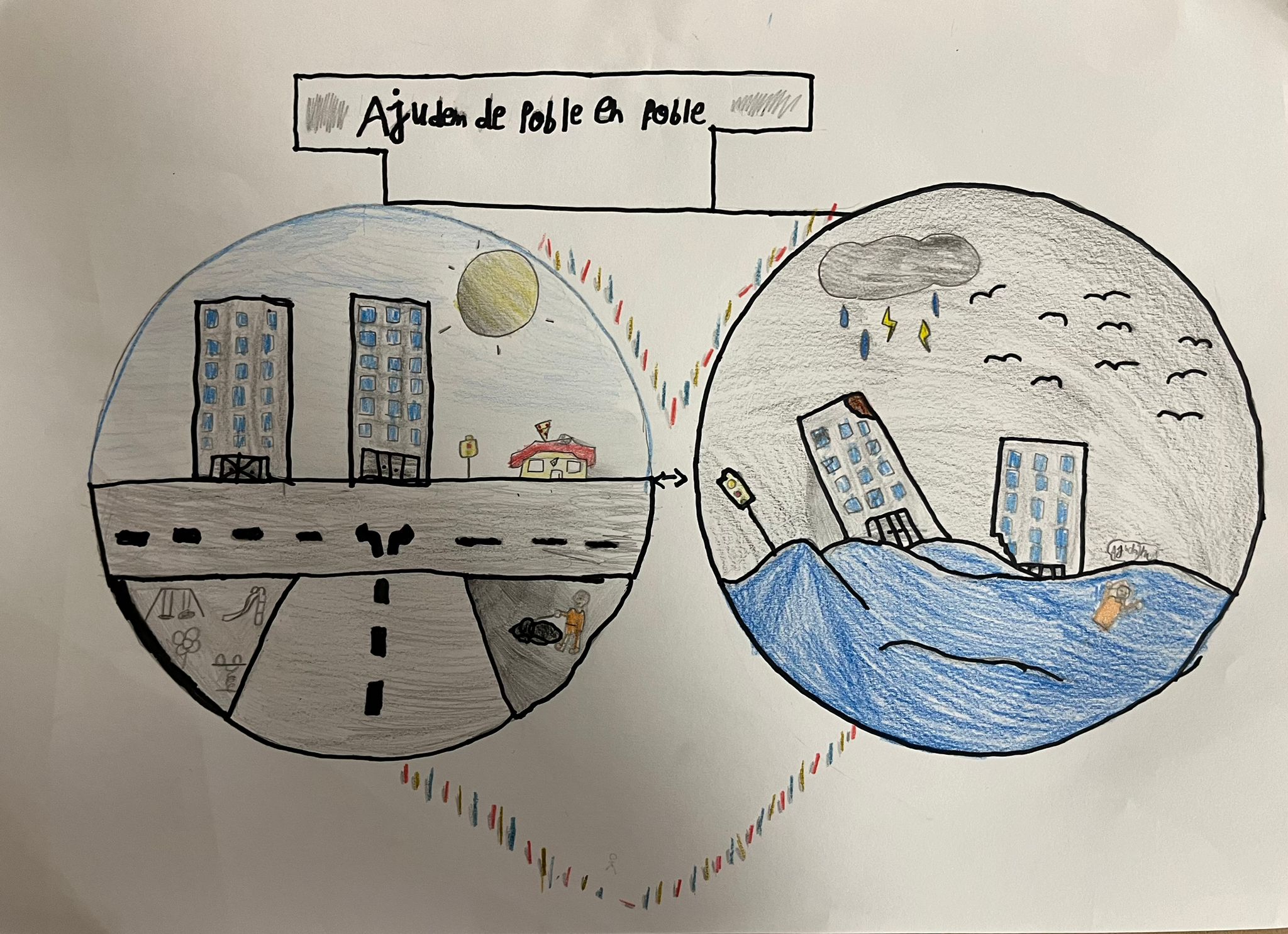 WhatsApp Image 2024-11-20 at 12.20.12