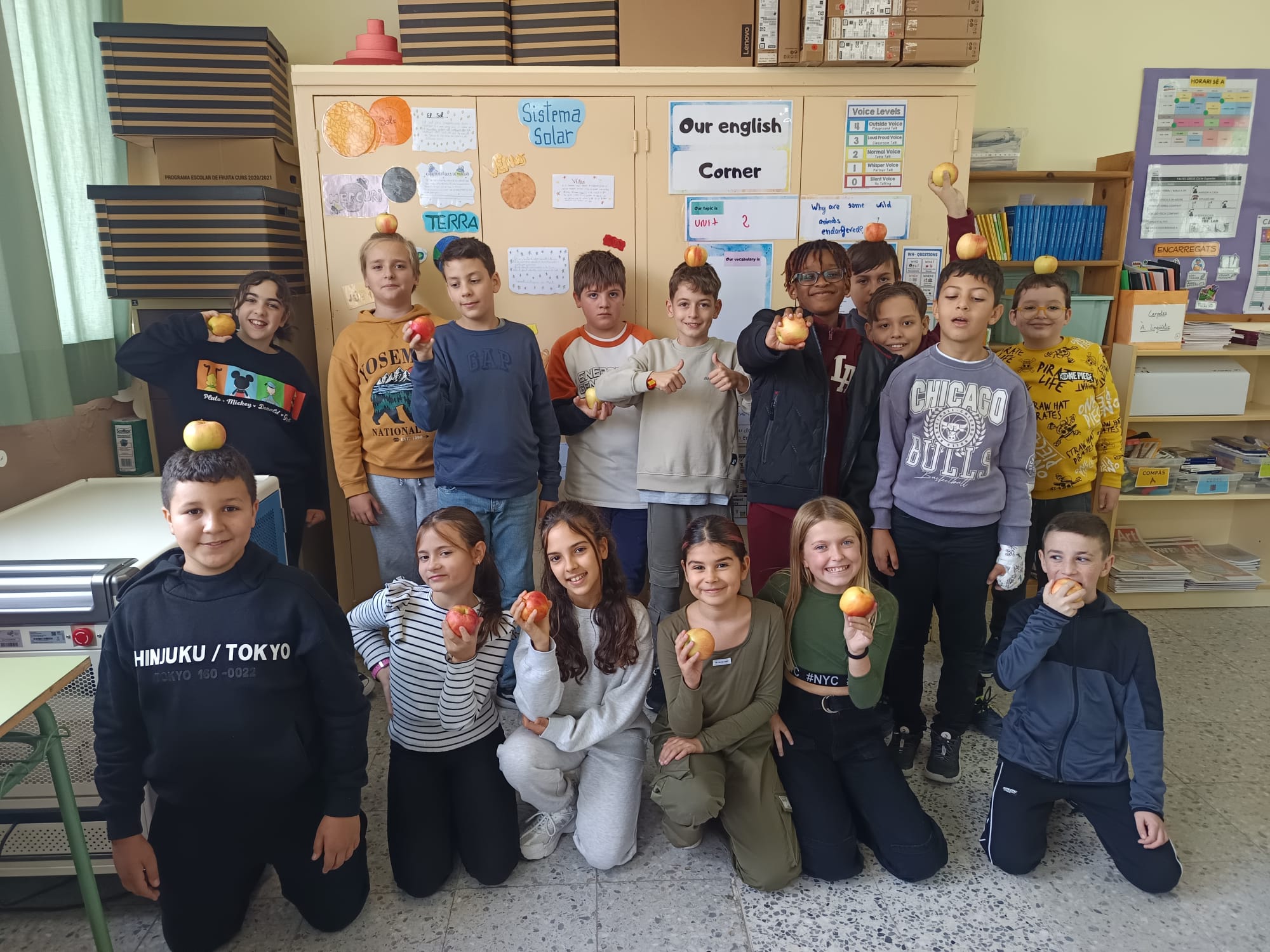 WhatsApp Image 2024-11-21 at 11.19.33