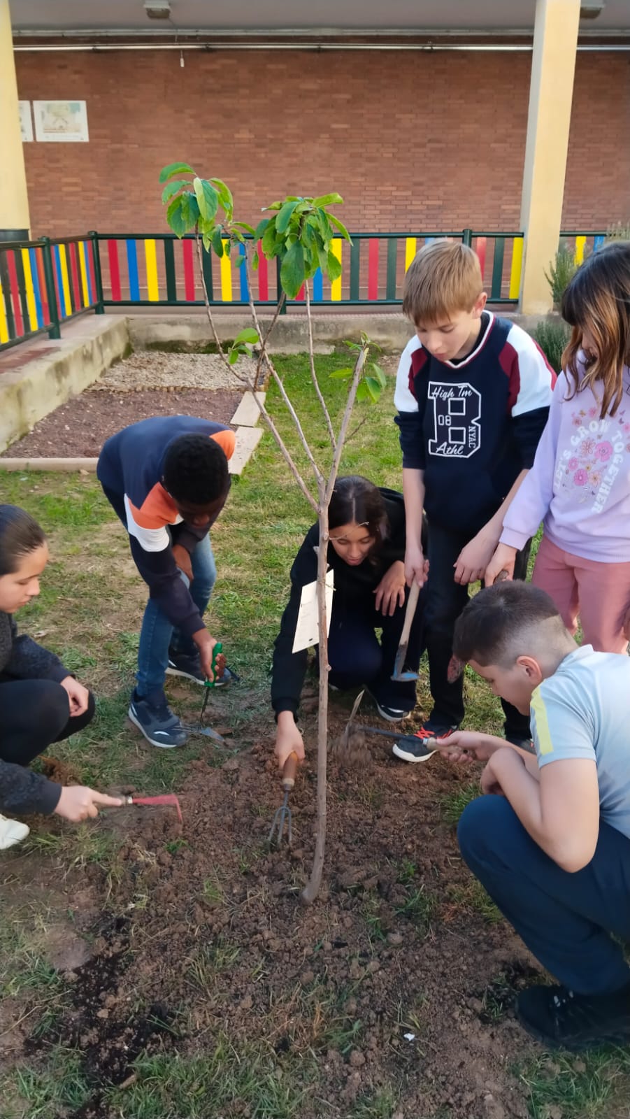 WhatsApp Image 2024-11-27 at 16.46.51