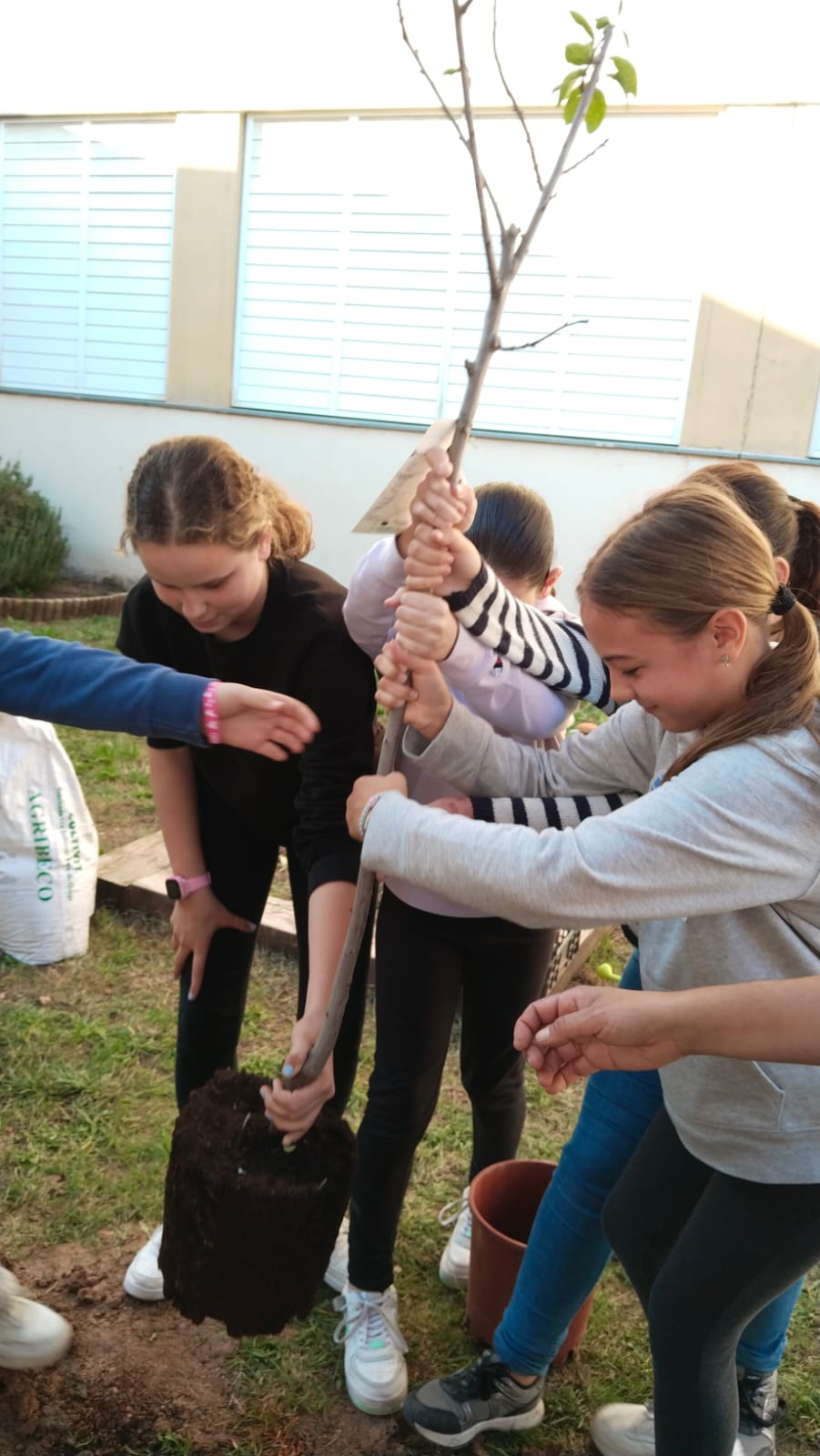 WhatsApp Image 2024-11-27 at 16.46.52 (1)