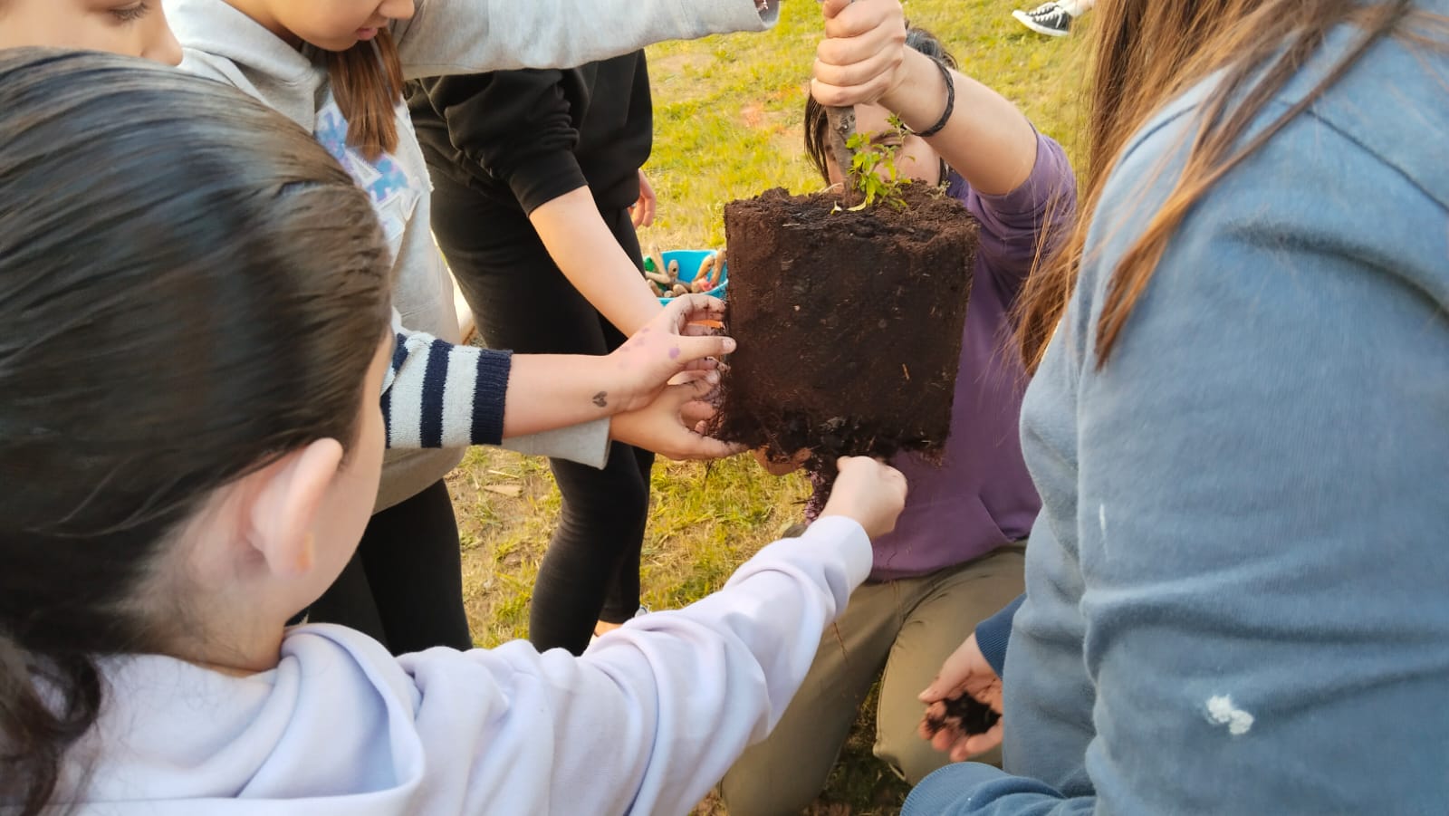 WhatsApp Image 2024-11-27 at 16.46.52