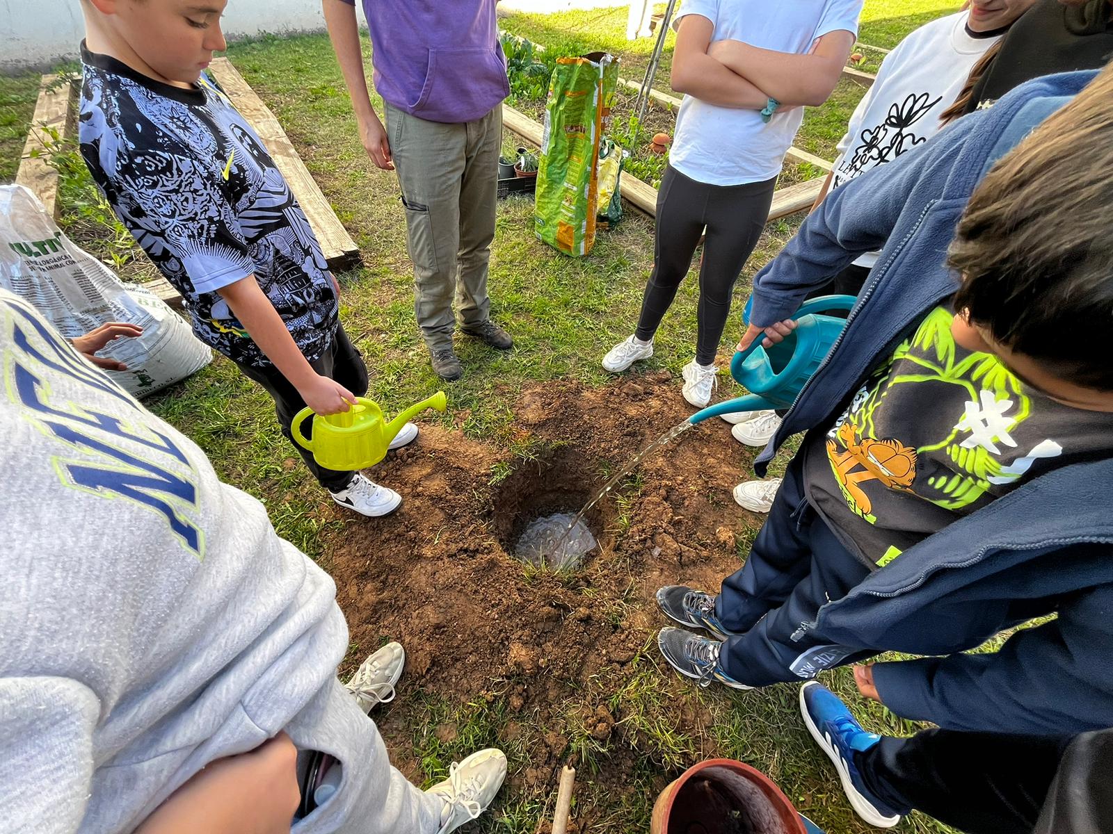 WhatsApp Image 2024-11-27 at 18.03.37