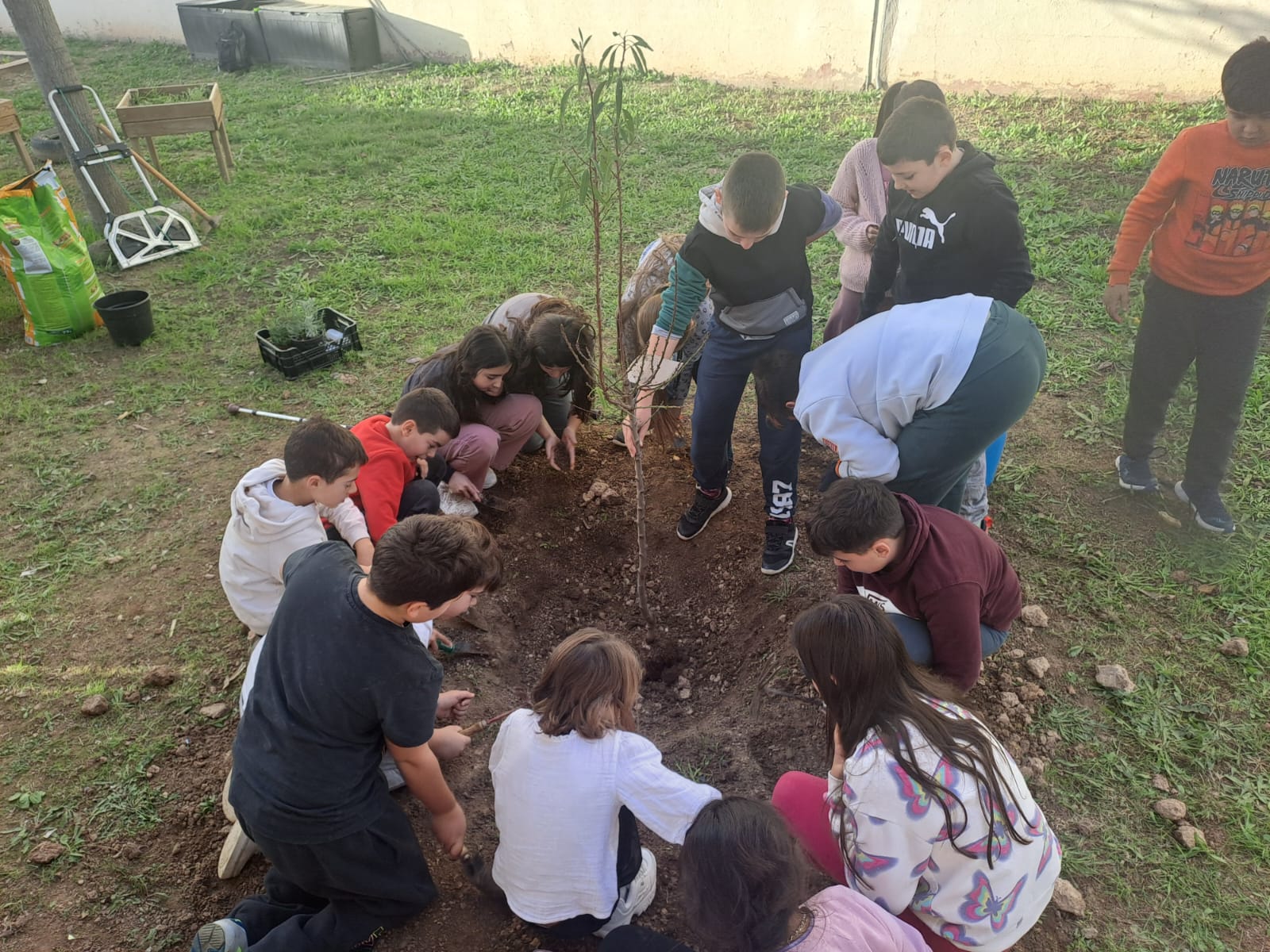 WhatsApp Image 2024-12-03 at 16.39.30