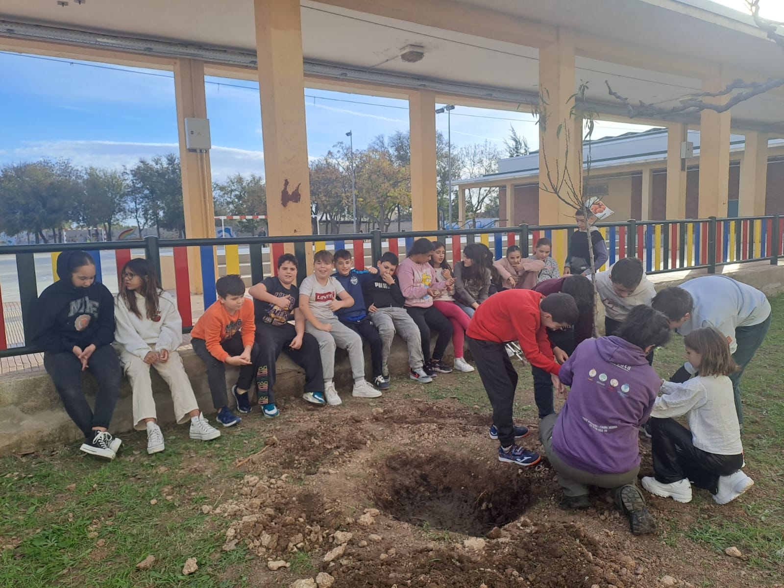 WhatsApp Image 2024-12-03 at 16.39.31