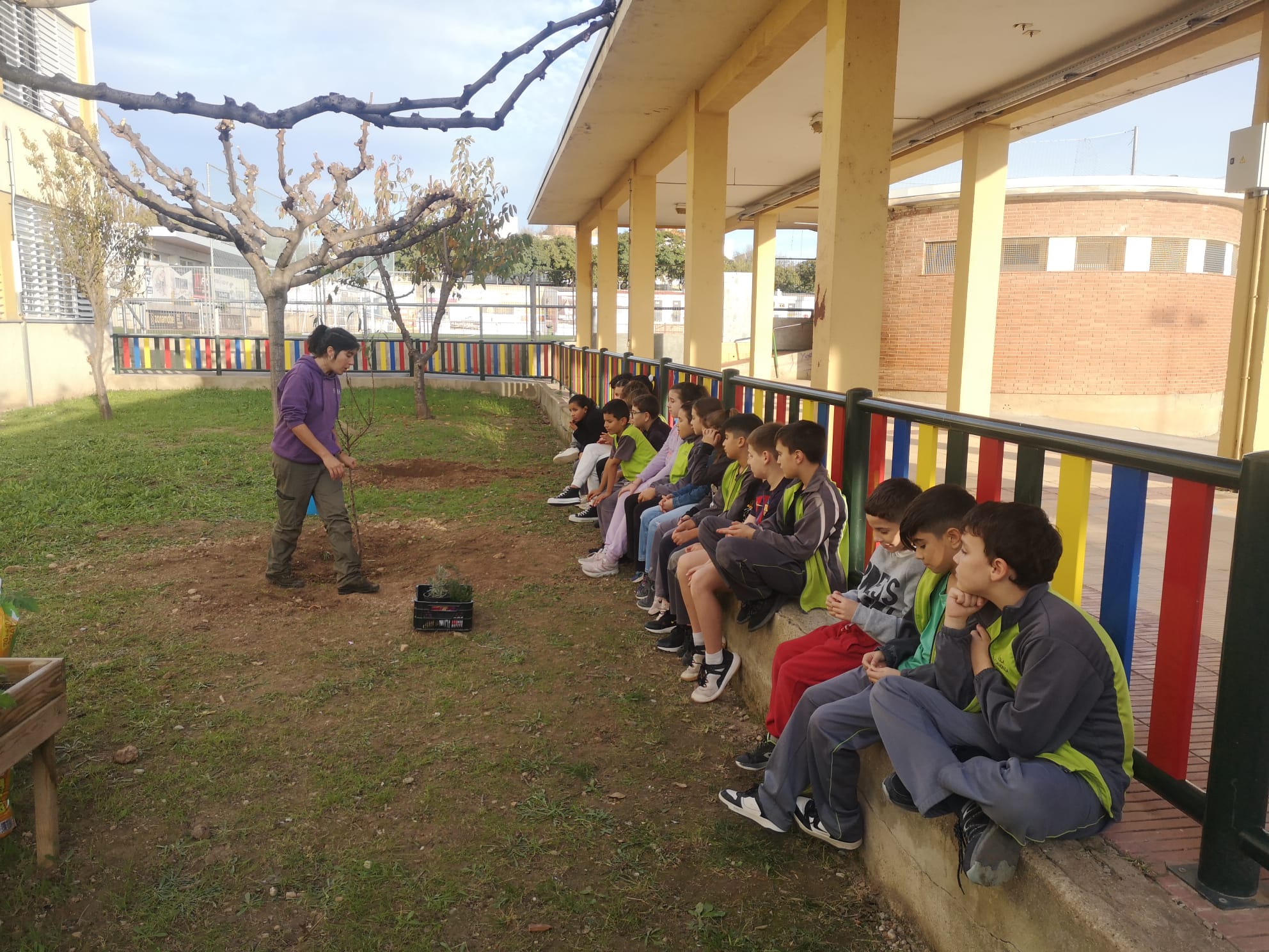 WhatsApp Image 2024-12-03 at 16.42.27