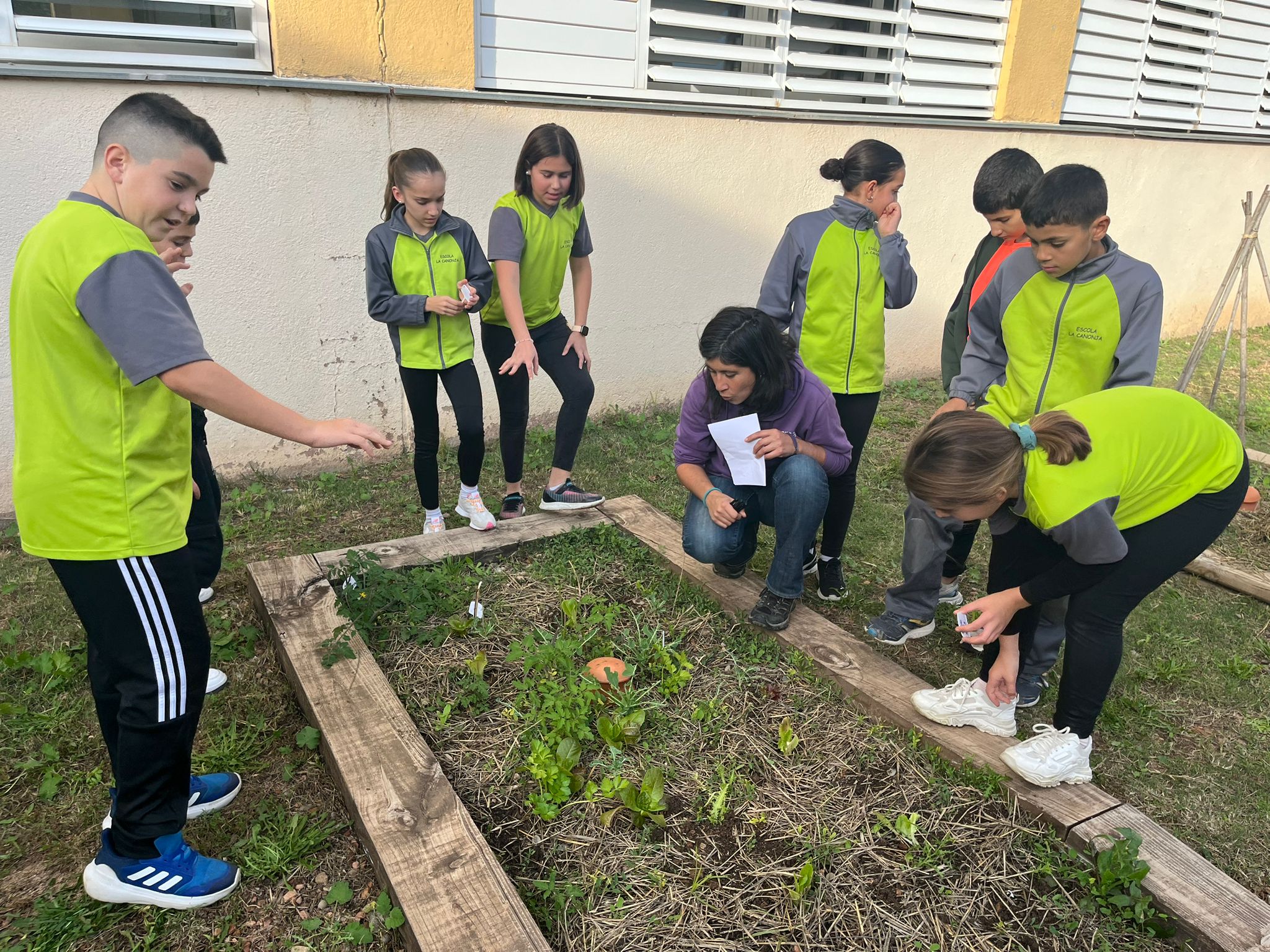 WhatsApp Image 2024-12-10 at 10.41.47