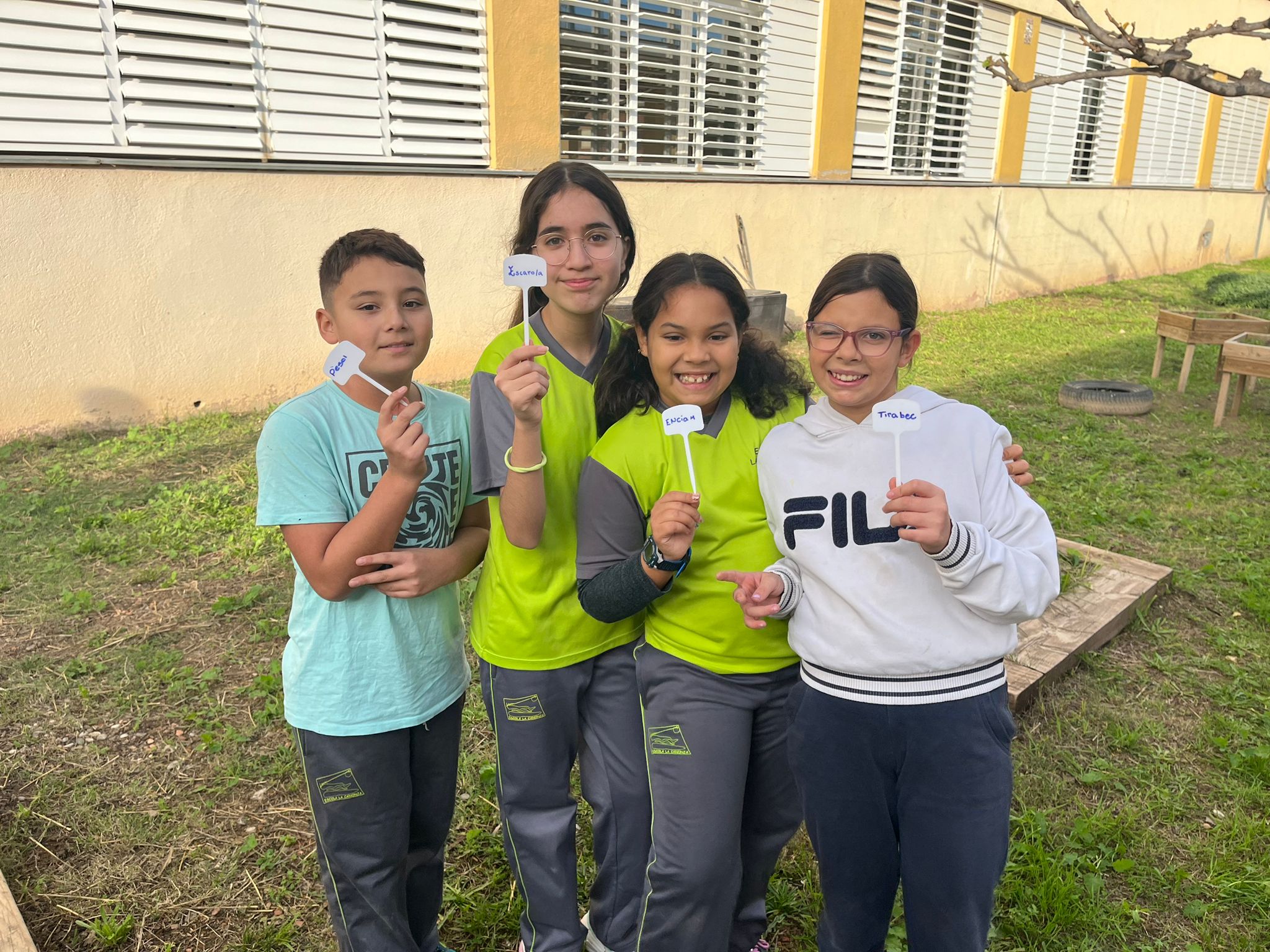 WhatsApp Image 2024-12-10 at 10.41.48