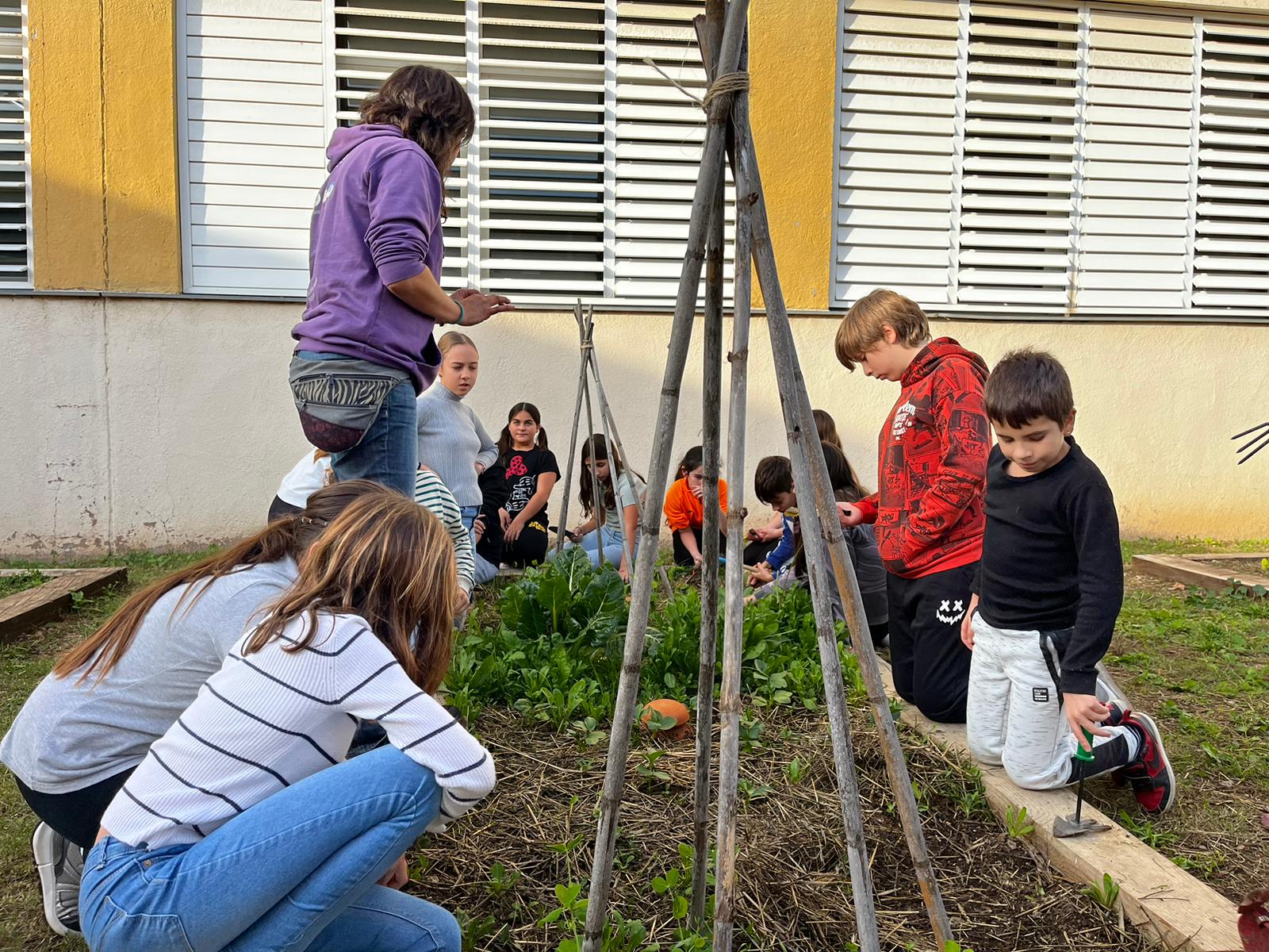 WhatsApp Image 2024-12-10 at 10.43.16