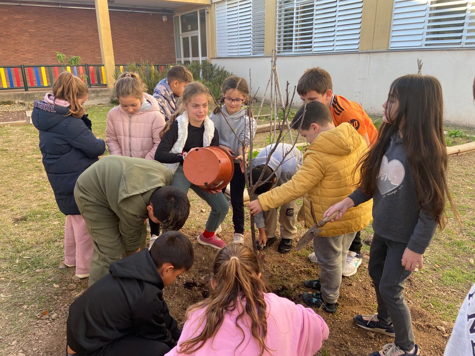 WhatsApp Image 2024-12-10 at 18.03.56 (3)