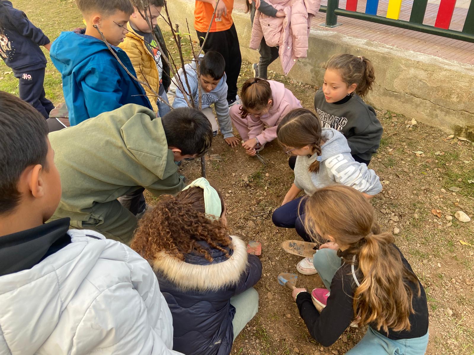 WhatsApp Image 2024-12-10 at 18.03.57 (1)