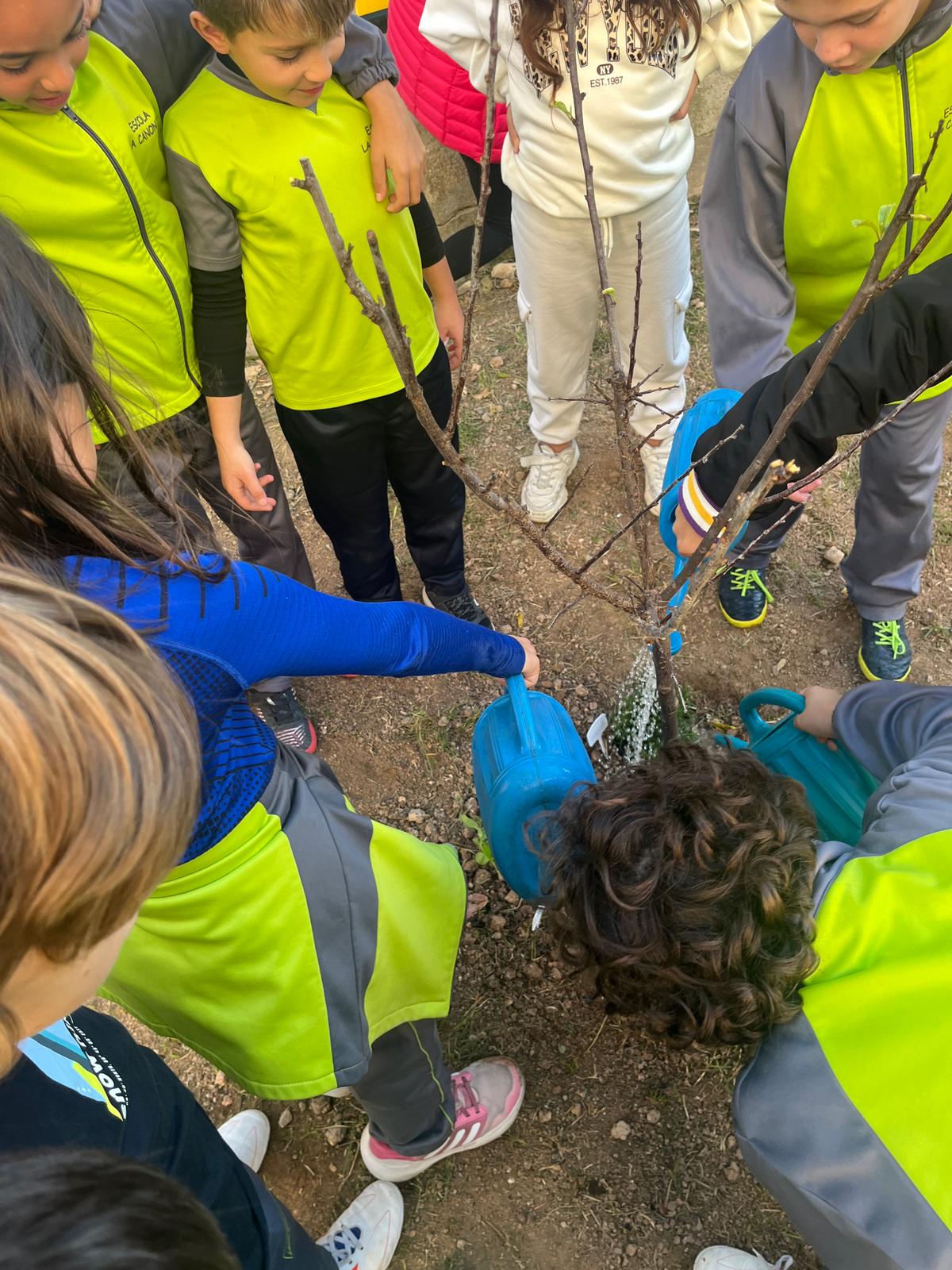 WhatsApp Image 2024-12-10 at 18.04.48