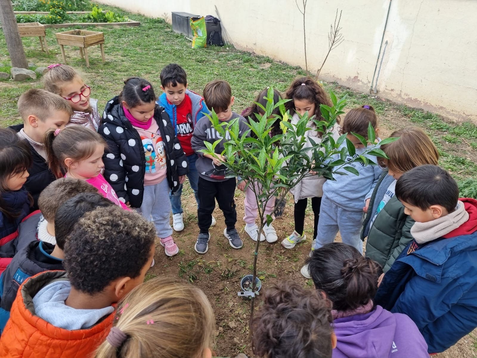 5ffbff28-6755-42e0-b84a-7b1676a0a356