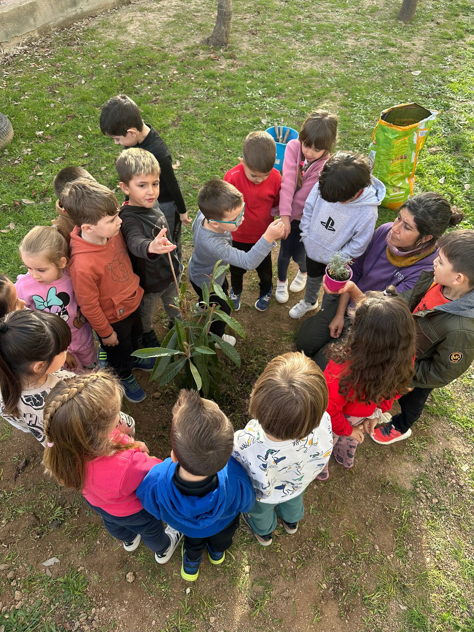 WhatsApp Image 2025-01-29 at 17.10.58