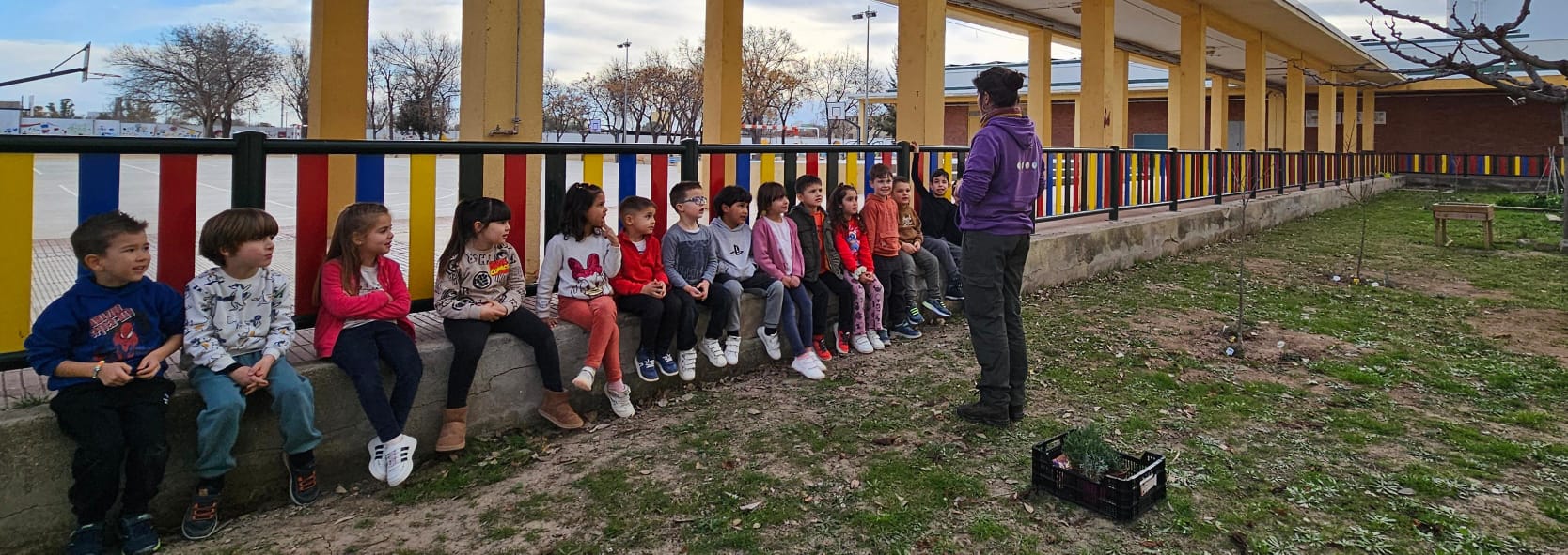 WhatsApp Image 2025-01-29 at 17.11.38