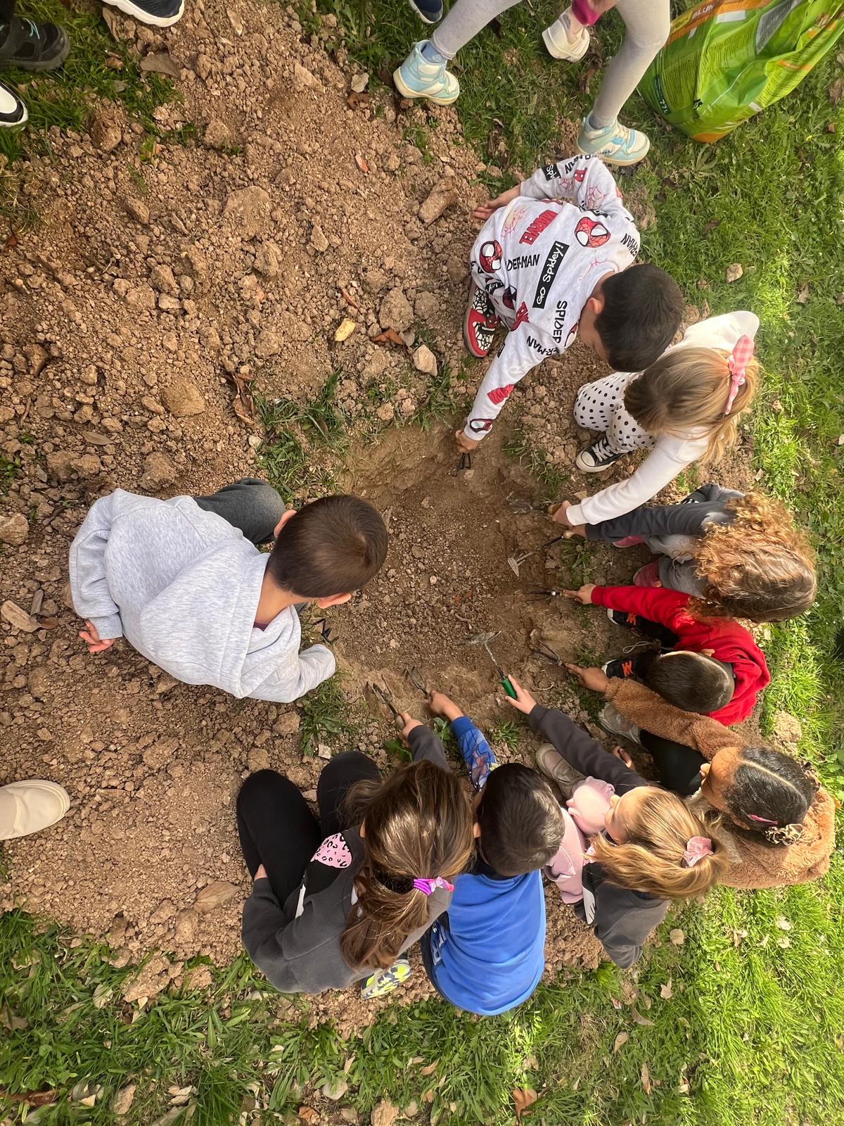 WhatsApp Image 2025-01-30 at 10.45.45