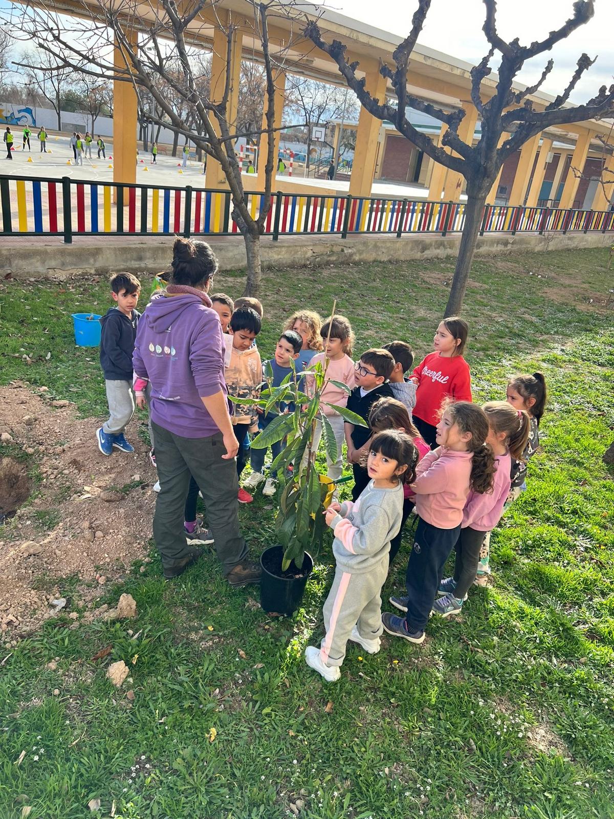 WhatsApp Image 2025-01-30 at 10.45.47