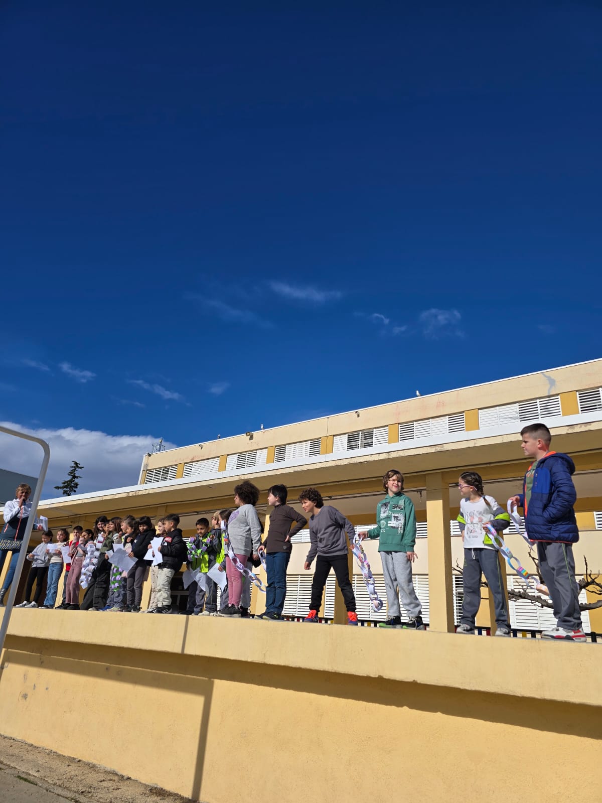 WhatsApp Image 2025-01-30 at 11.46.03