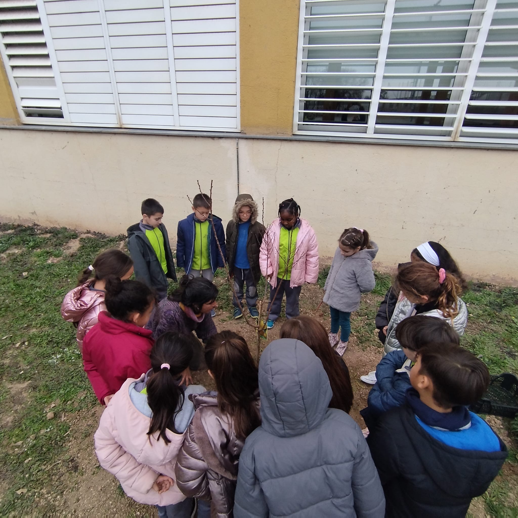 bd0a8555-59ba-4a82-a425-ff3efb1bc307