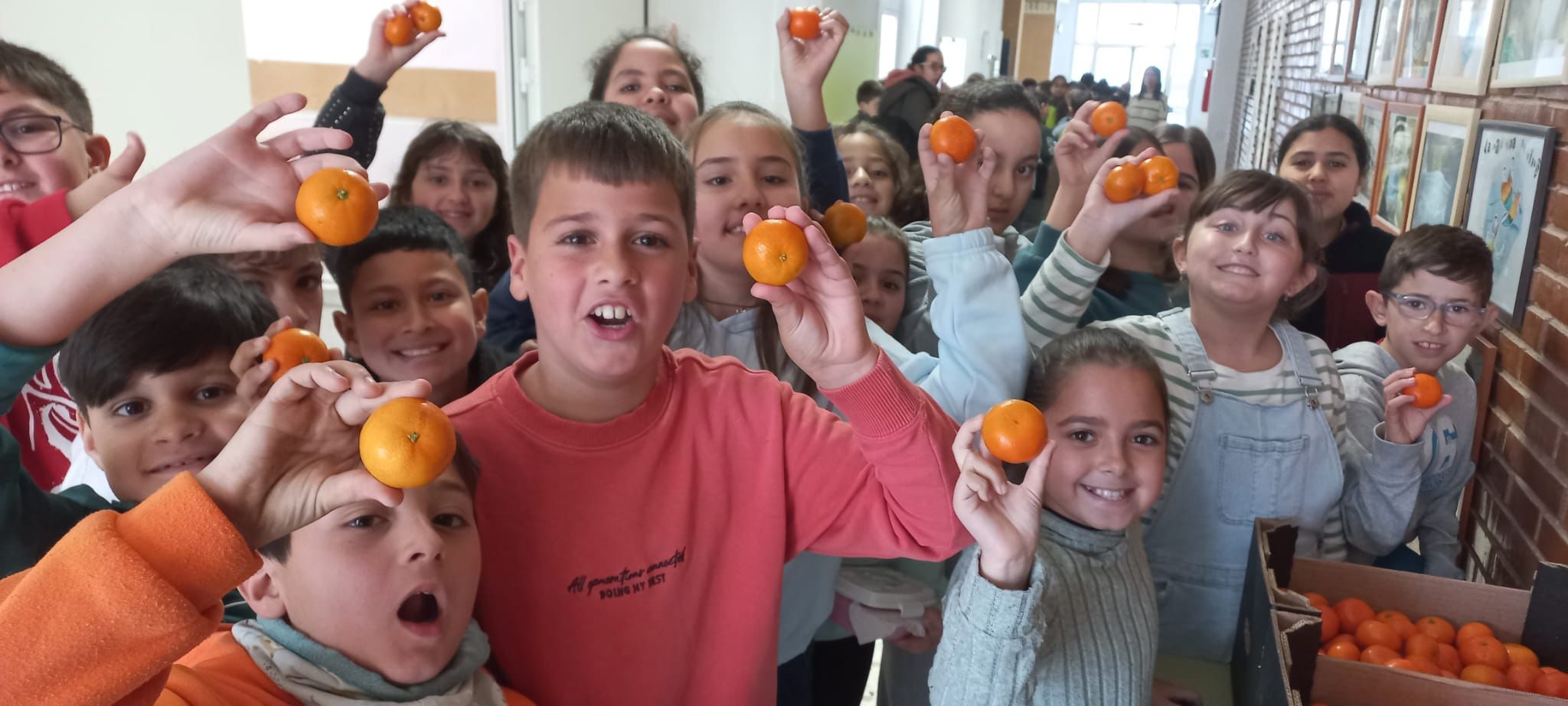 WhatsApp Image 2025-02-18 at 12.53.54