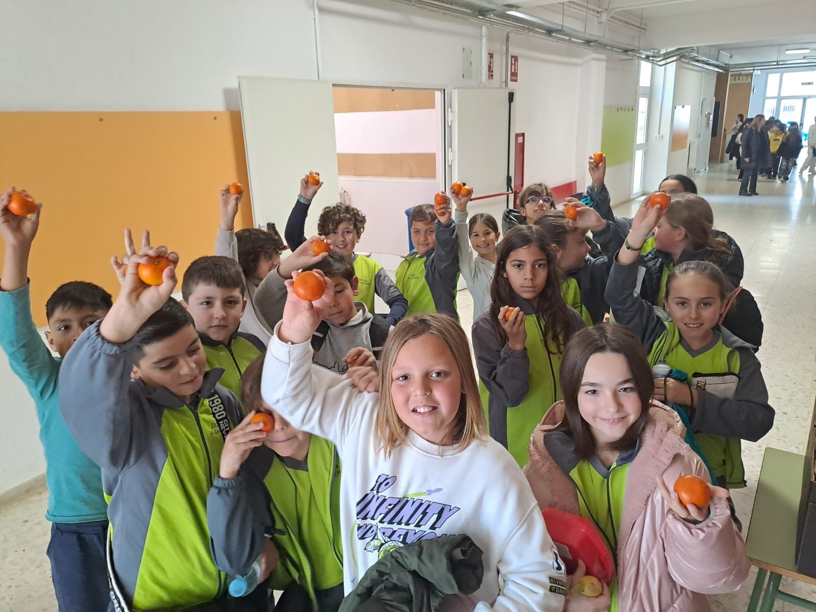 WhatsApp Image 2025-02-18 at 12.54.01