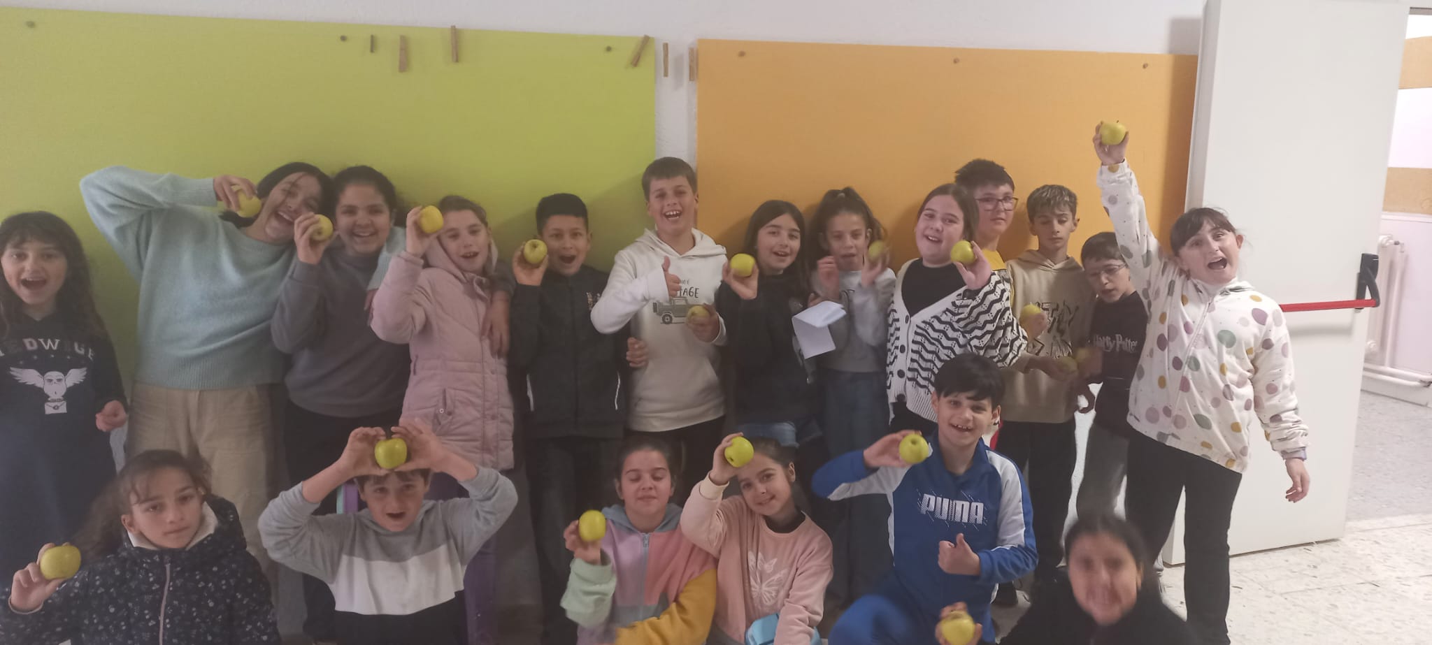 WhatsApp Image 2025-02-20 at 13.35.32