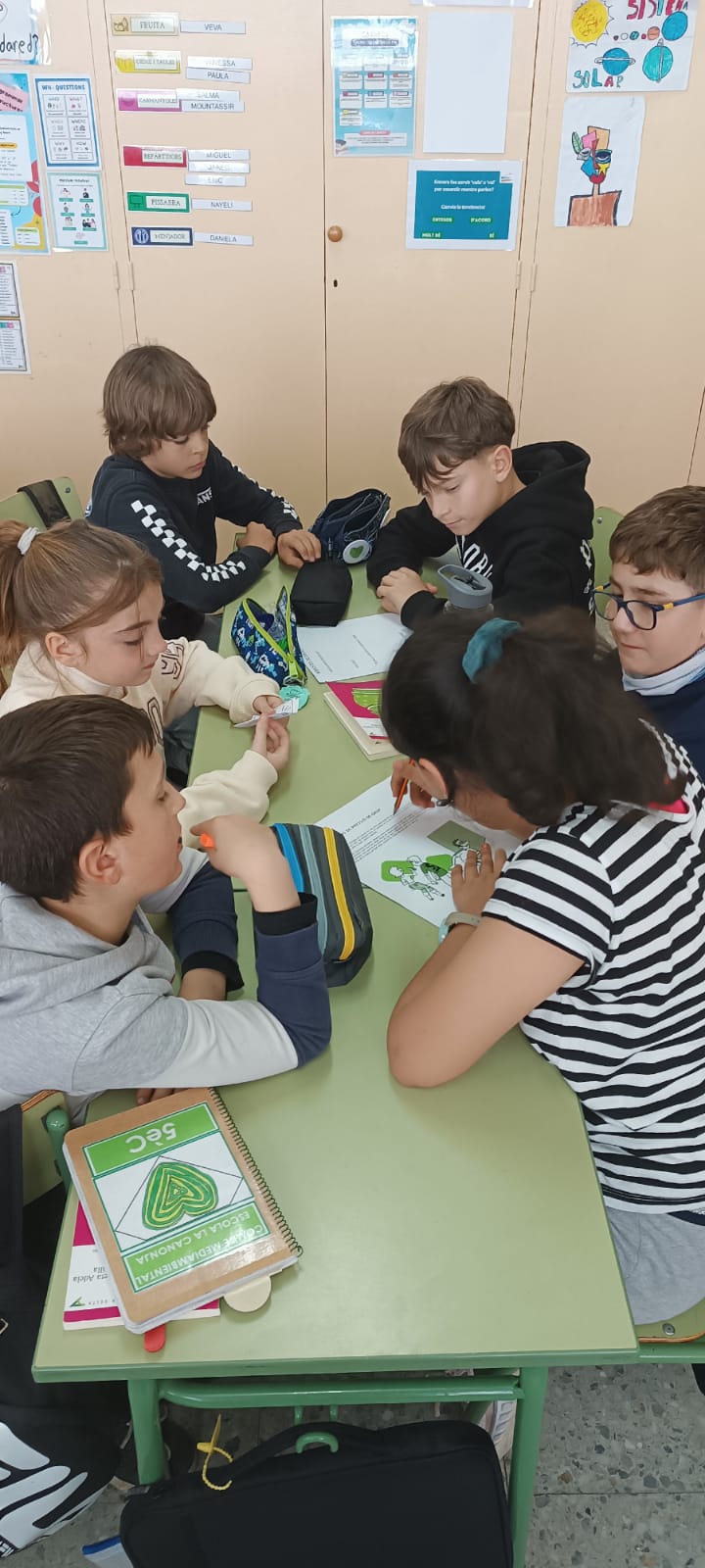 WhatsApp Image 2025-02-20 at 17.13.46