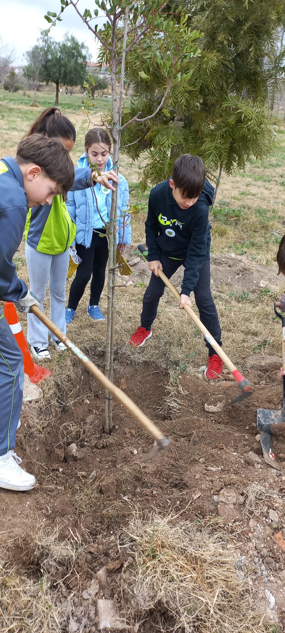 WhatsApp Image 2025-02-21 at 12.42.51 (3)