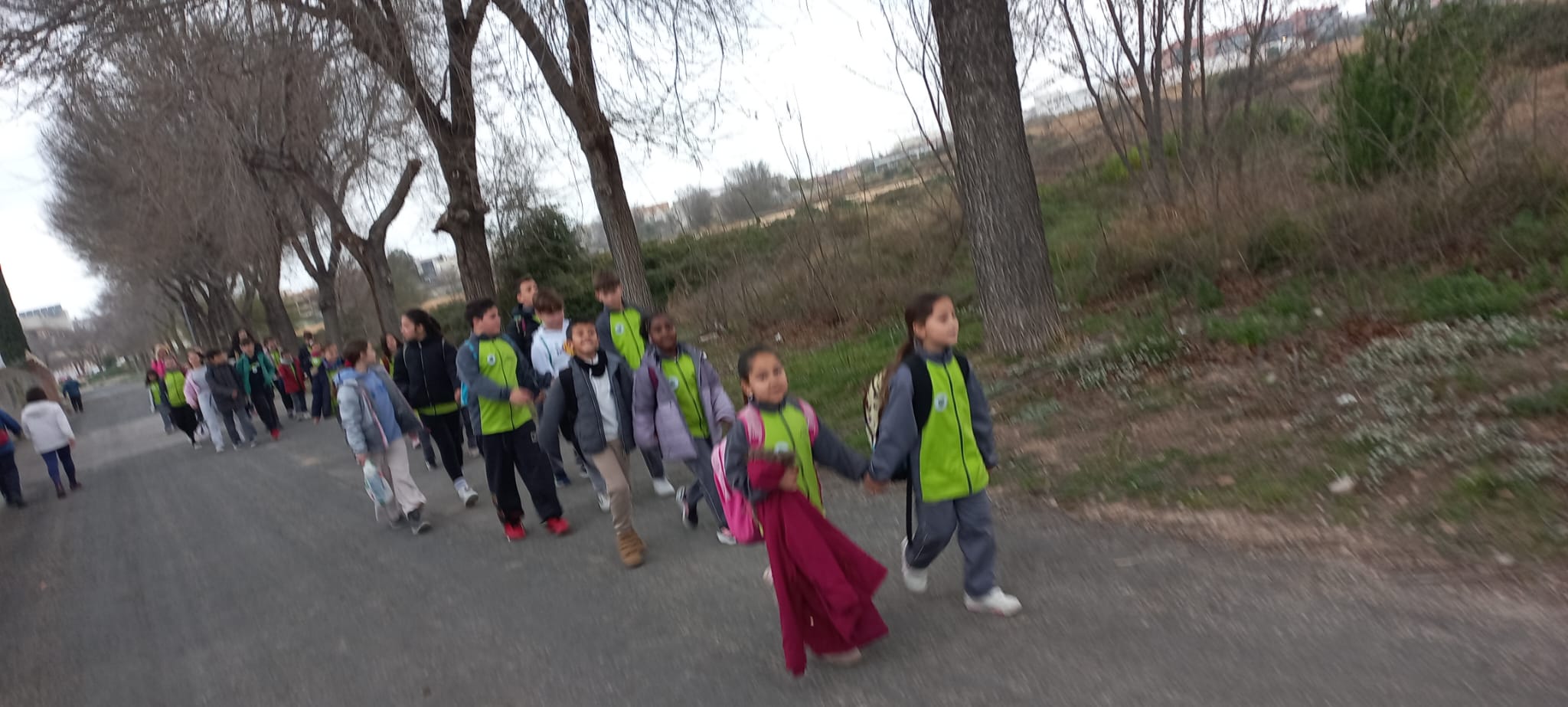 WhatsApp Image 2025-02-21 at 12.42.51 (5)