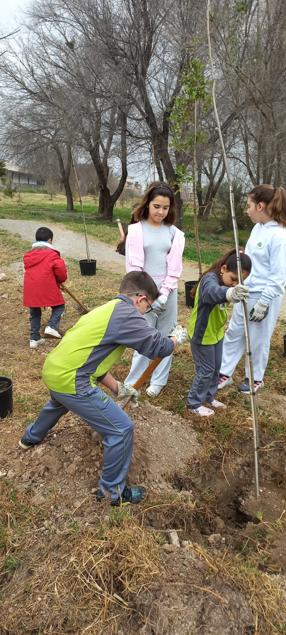 WhatsApp Image 2025-02-21 at 12.42.52 (1)