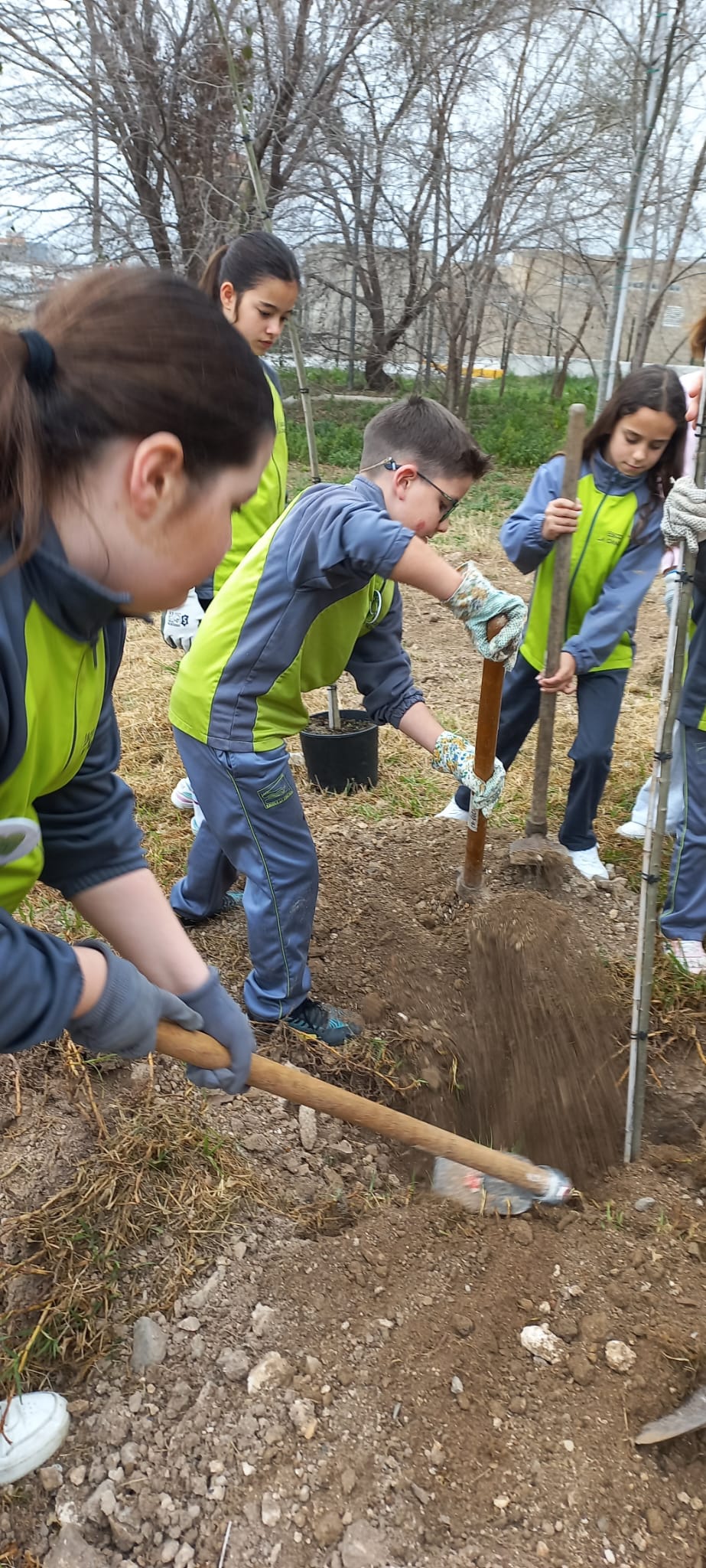 WhatsApp Image 2025-02-21 at 12.42.52 (2)