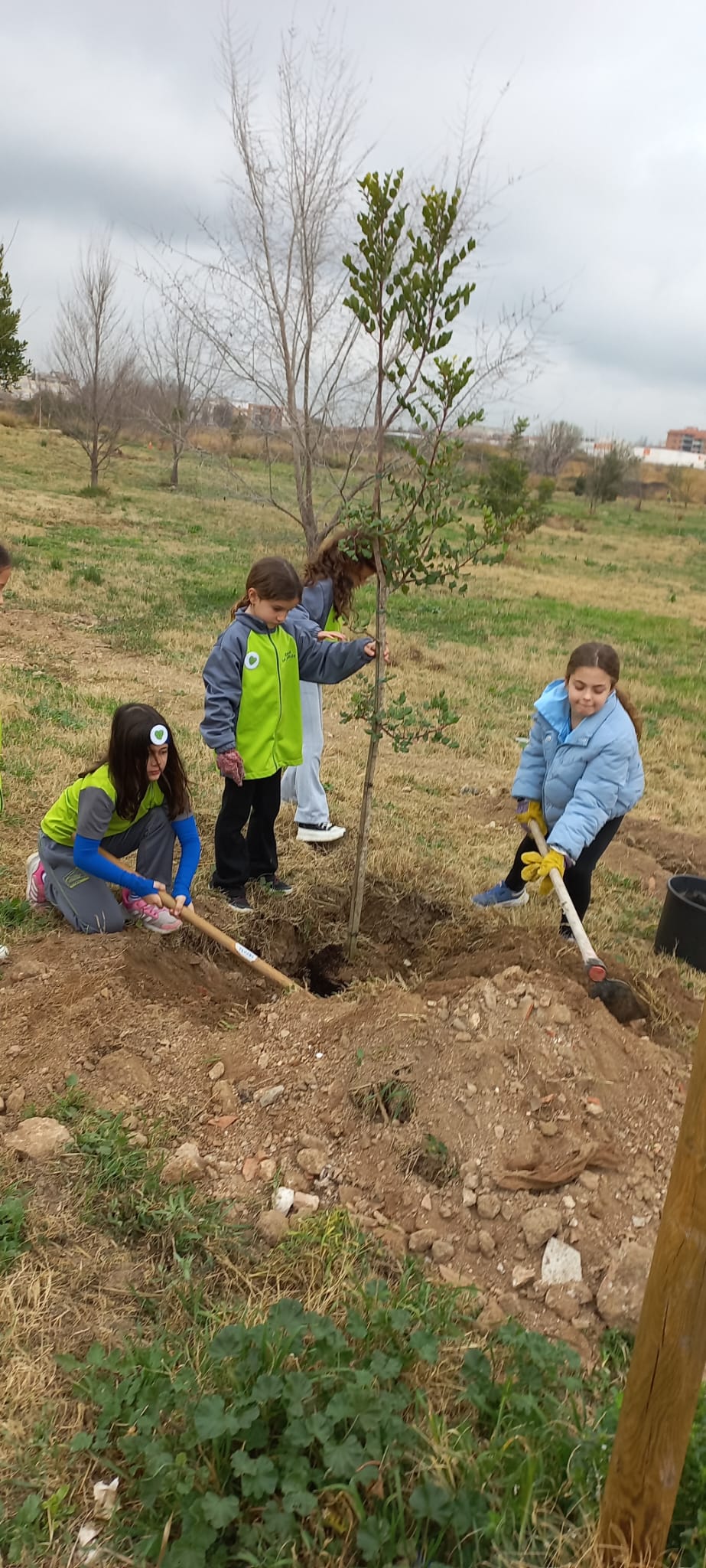 WhatsApp Image 2025-02-21 at 12.42.53 (1)