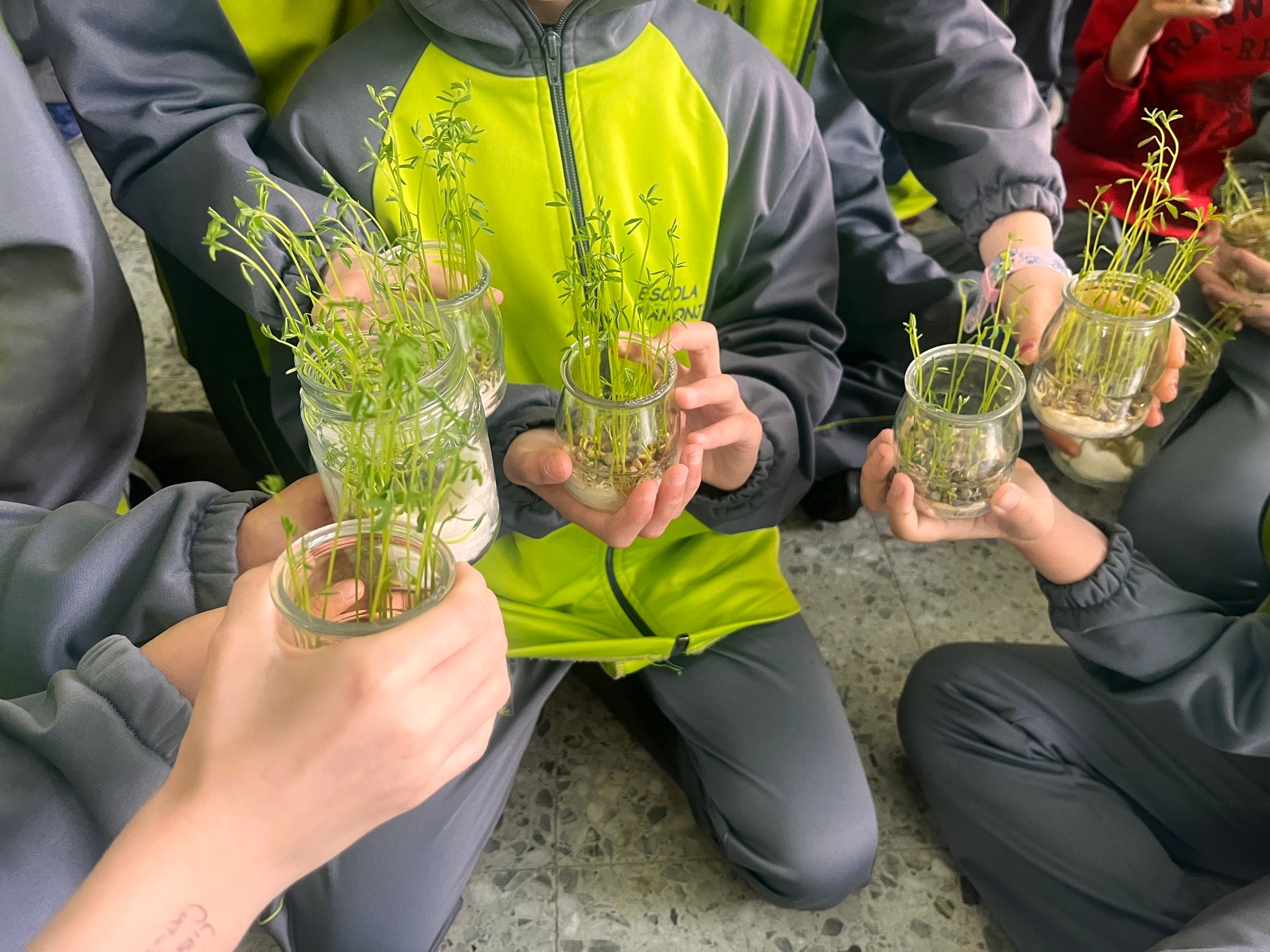 6a366b86-bf95-4c74-ad7d-0181b2dcbfaa